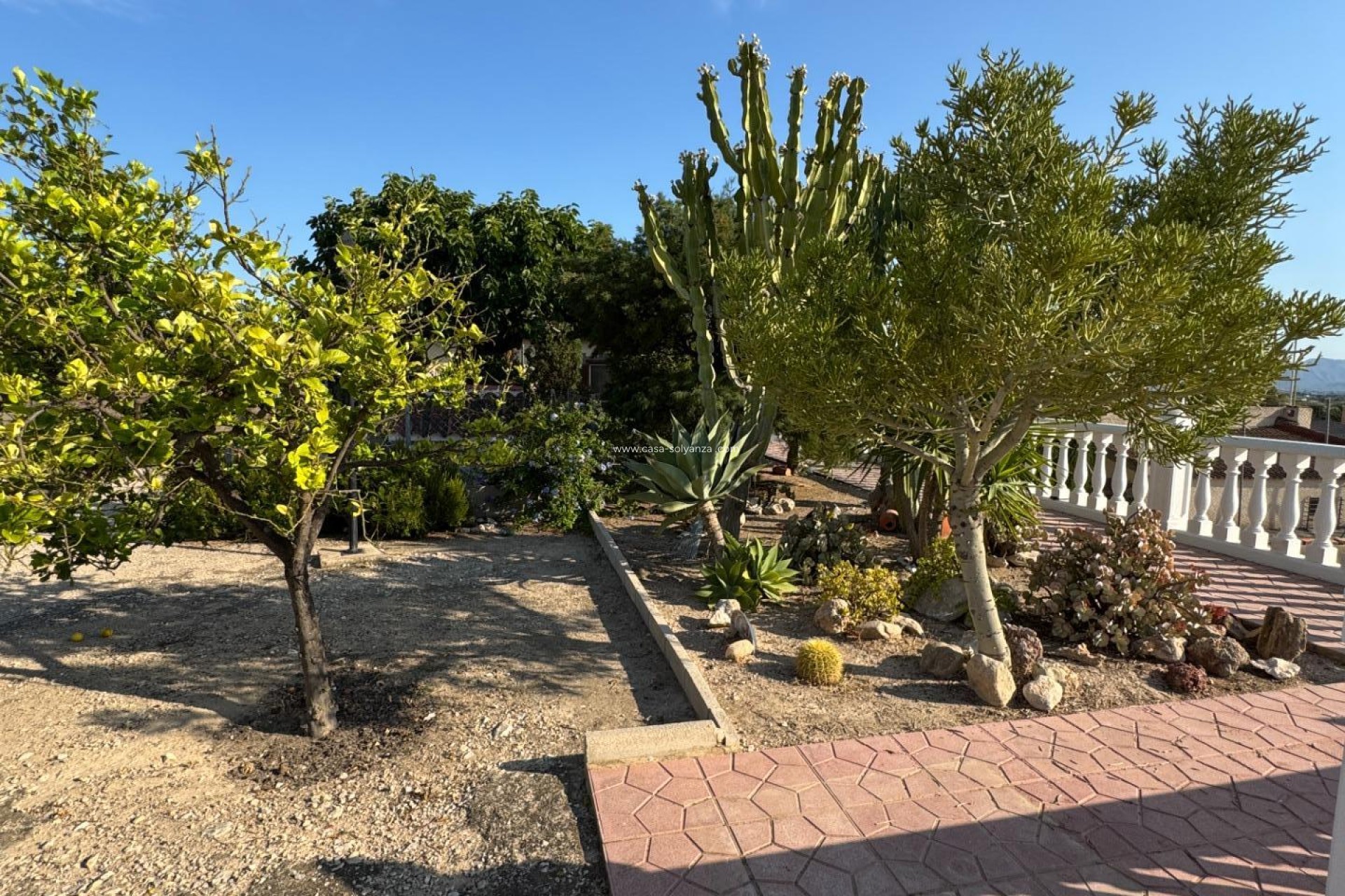 Resale - Villa - Albatera - Partida Lomas