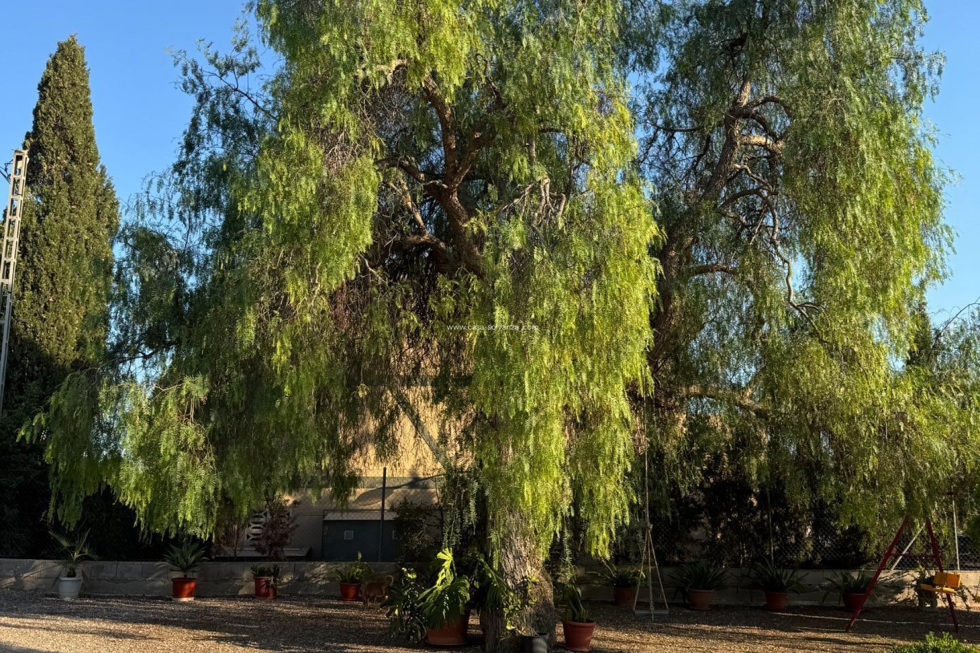 Resale - Villa - Albatera - Partida Lomas