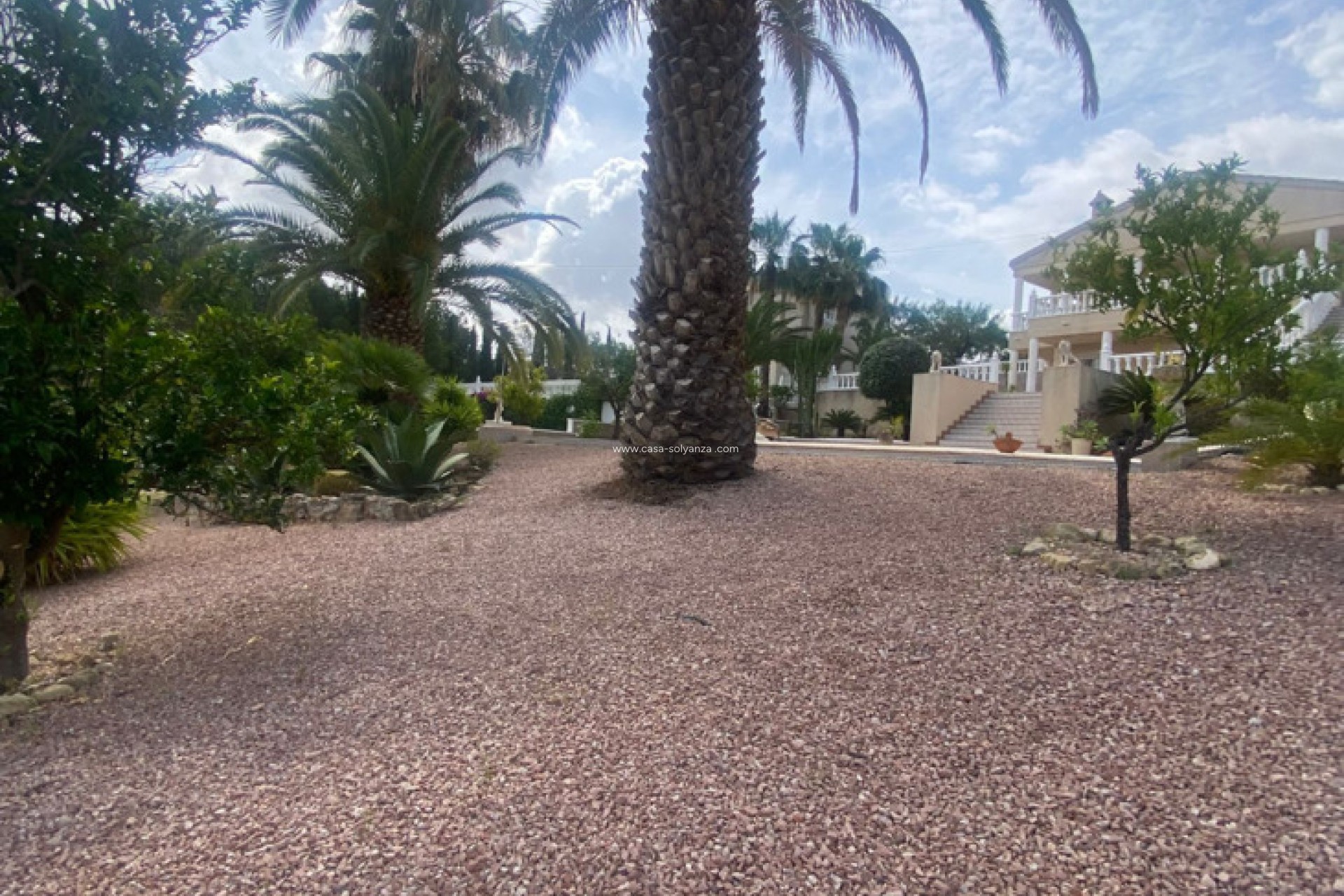 Resale - Villa - Algorfa - Inland