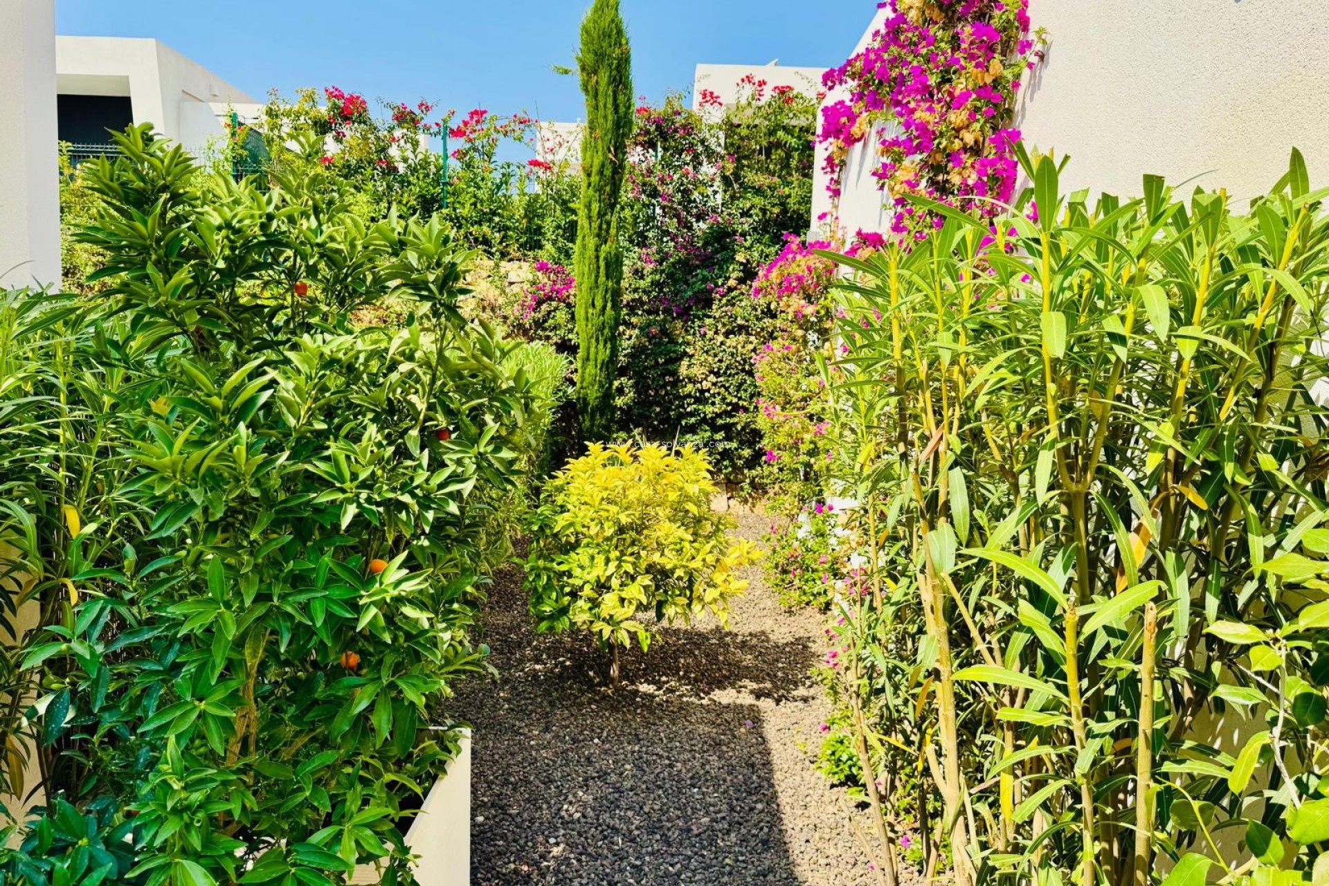 Resale - Villa - Algorfa - Inland