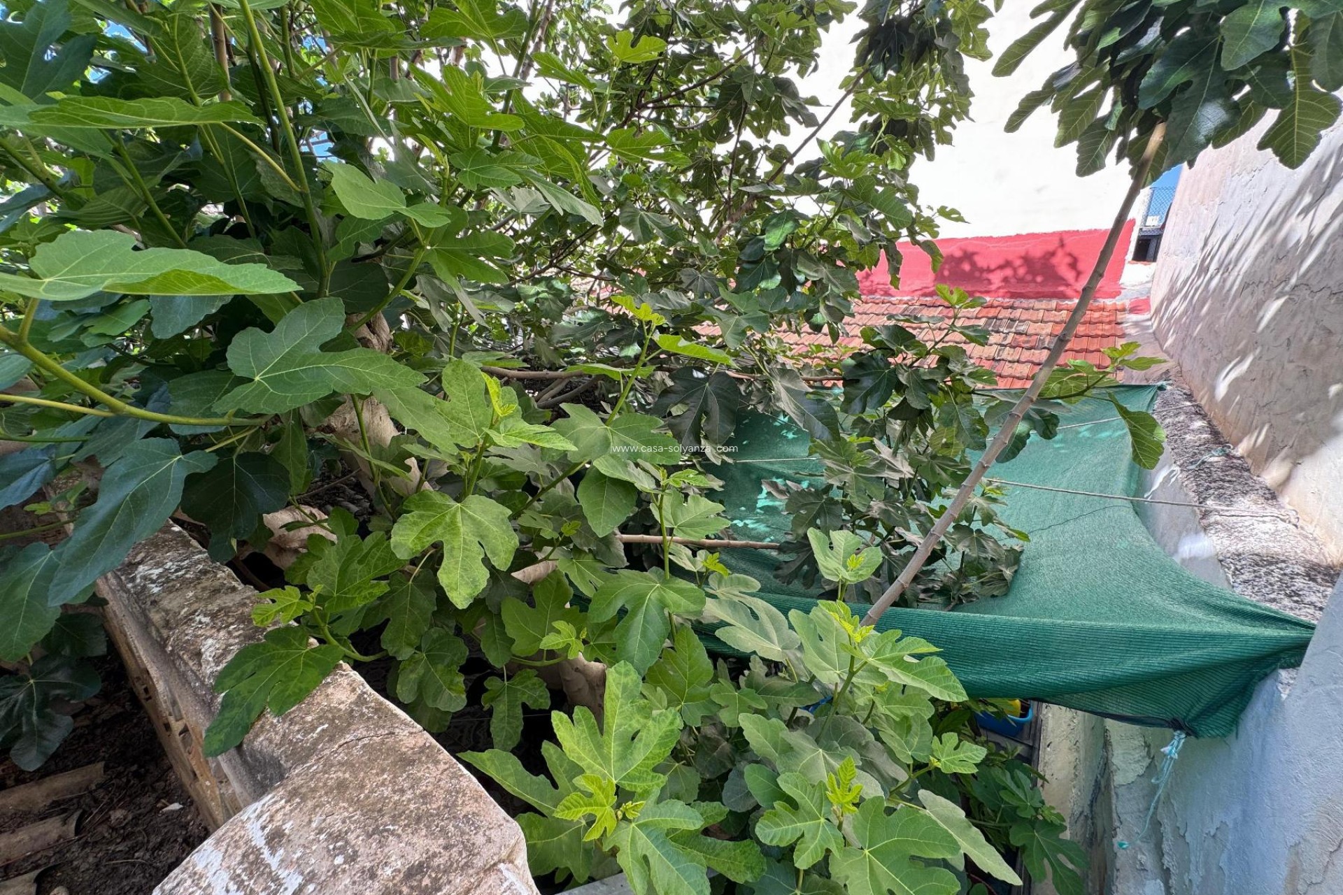 Resale - Villa - Benejuzar - Inland