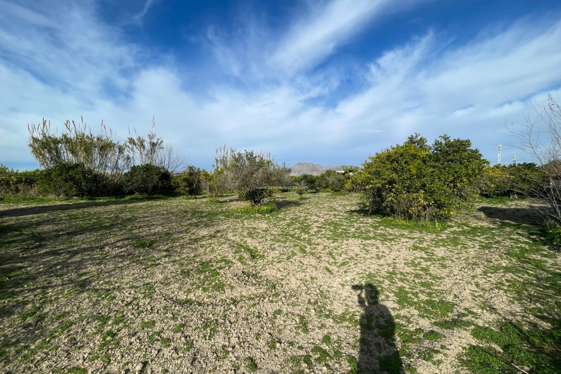 Resale - Villa - Benejuzar - Inland