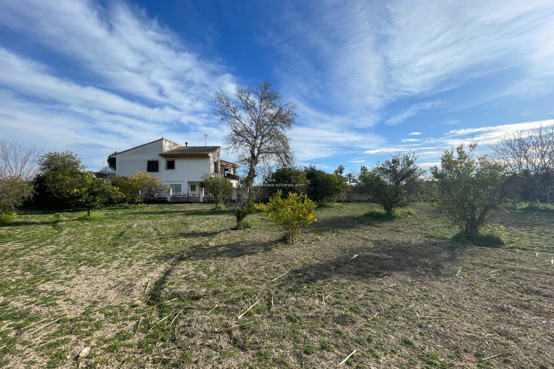 Resale - Villa - Benejuzar - Inland