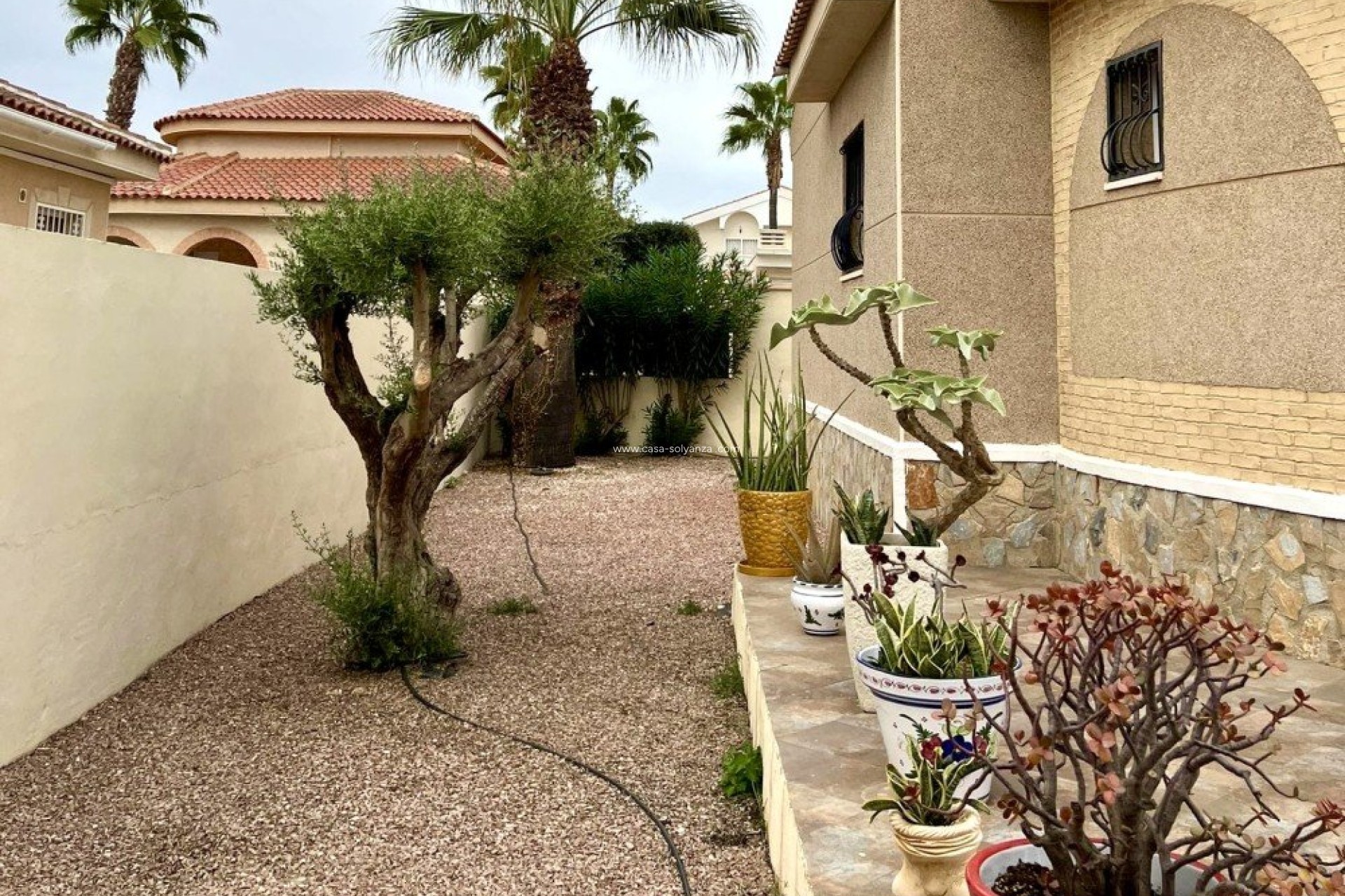 Resale - Villa - Benijofar - Costa Blanca
