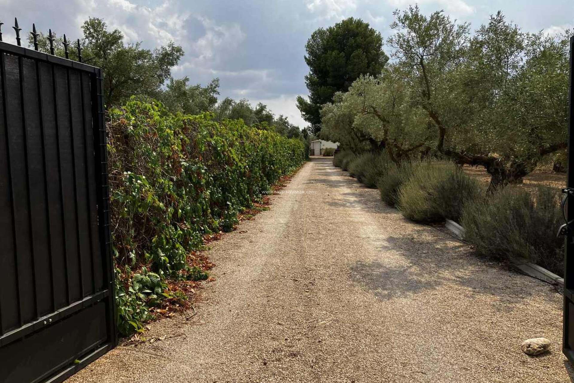 Resale - Villa - Biar - Costa Blanca