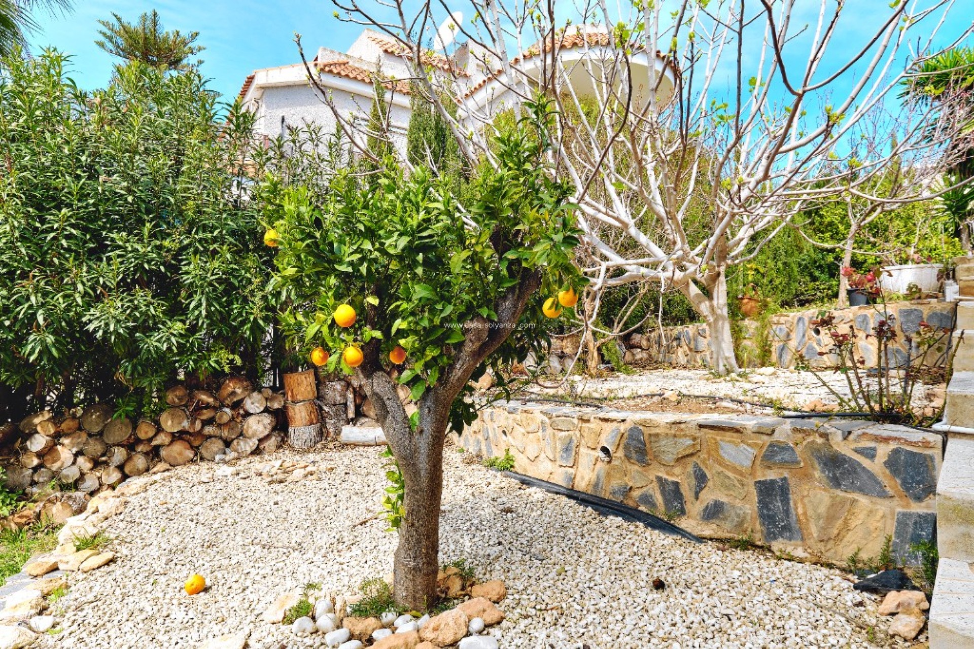 Resale - Villa - Campoamor - Dehesa de Campoamor