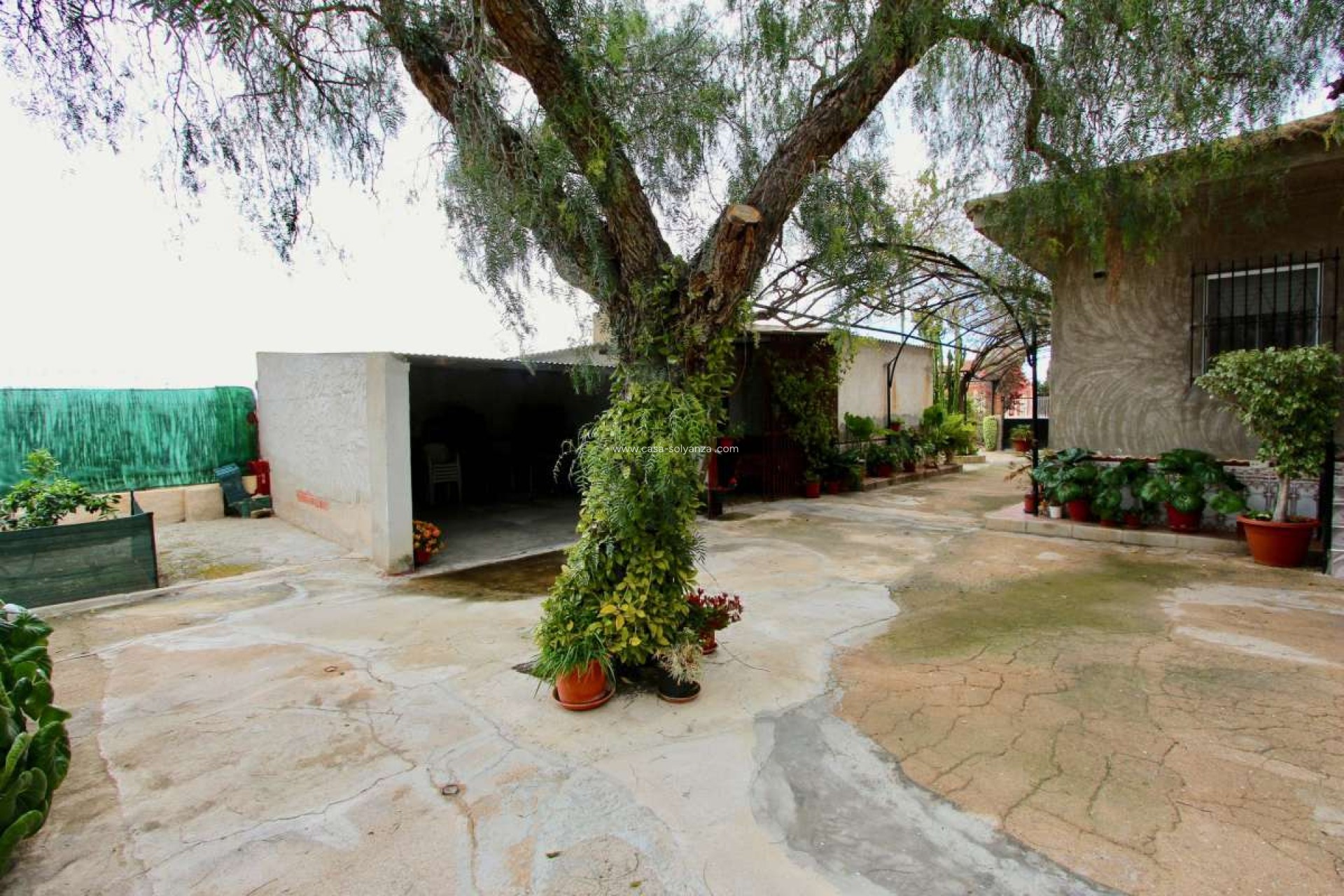 Resale - Villa - Canadas De San Pedro - Inland