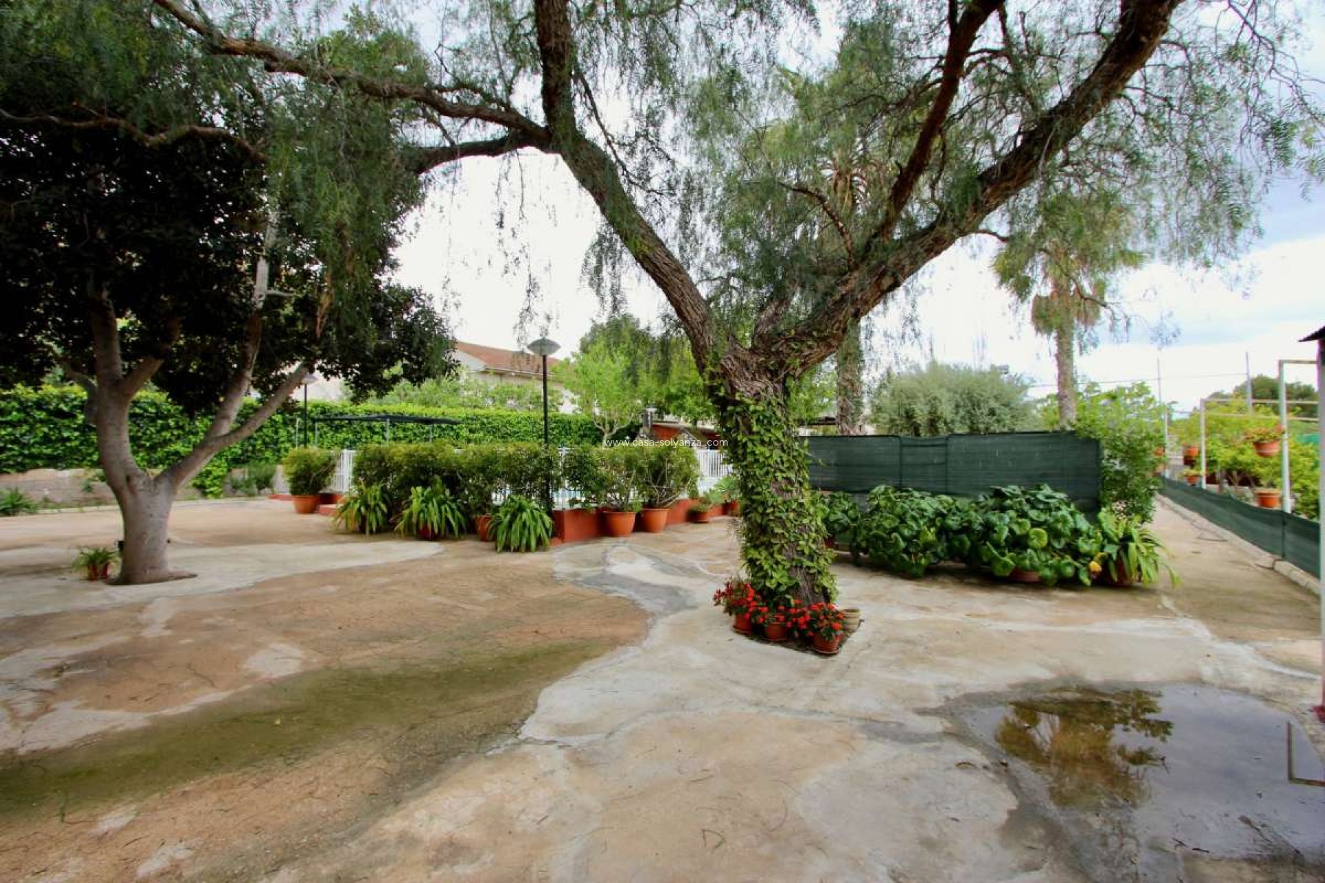 Resale - Villa - Canadas De San Pedro - Inland