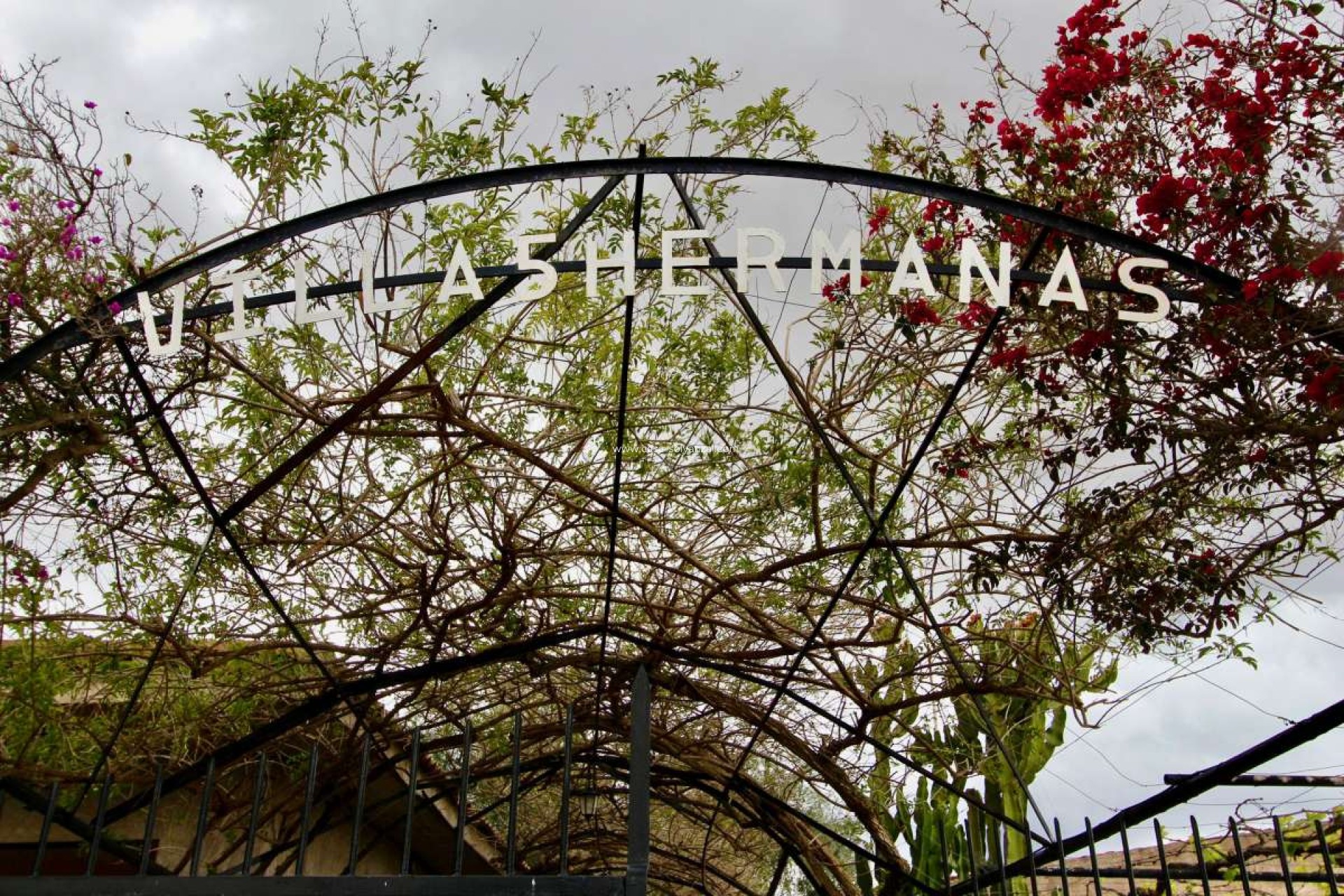Resale - Villa - Canadas De San Pedro - Inland