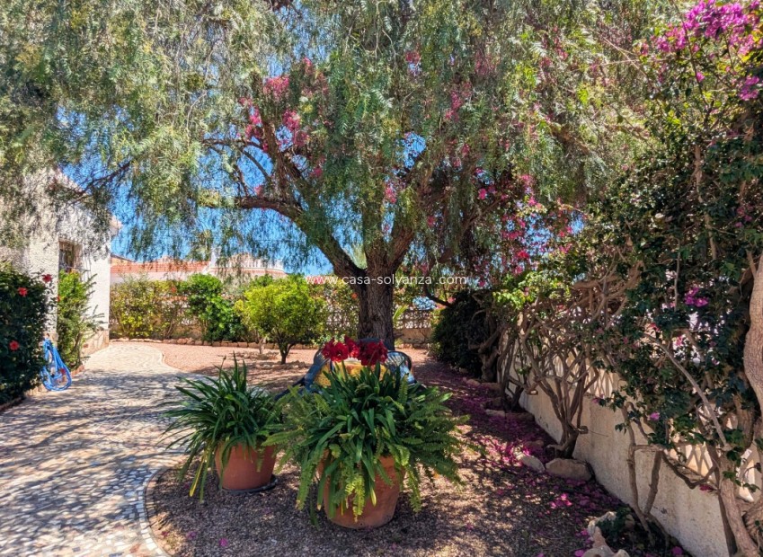 Resale - Villa - Ciudad Quesada - Costa Blanca