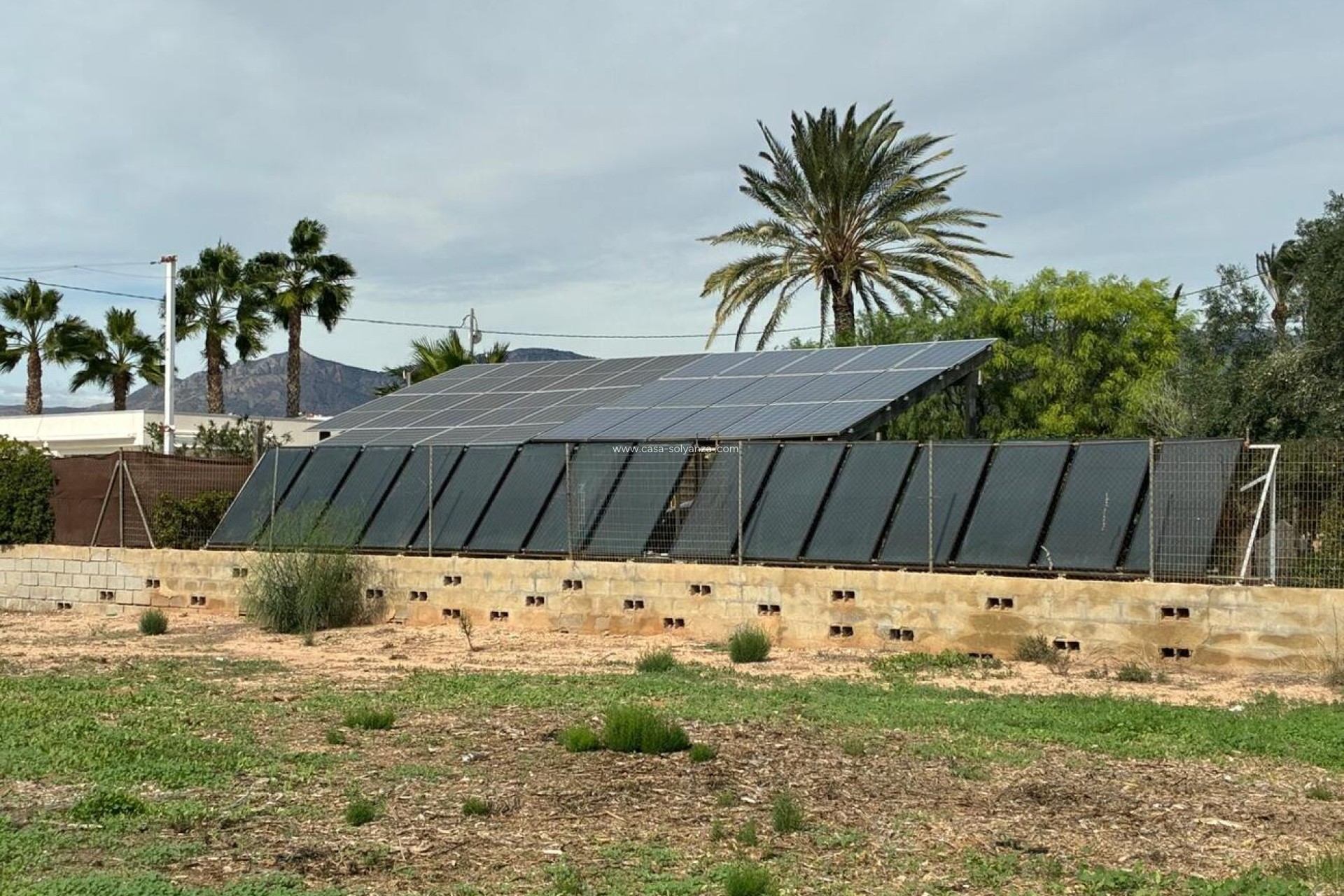 Resale - Villa - Crevillente - Costa Blanca