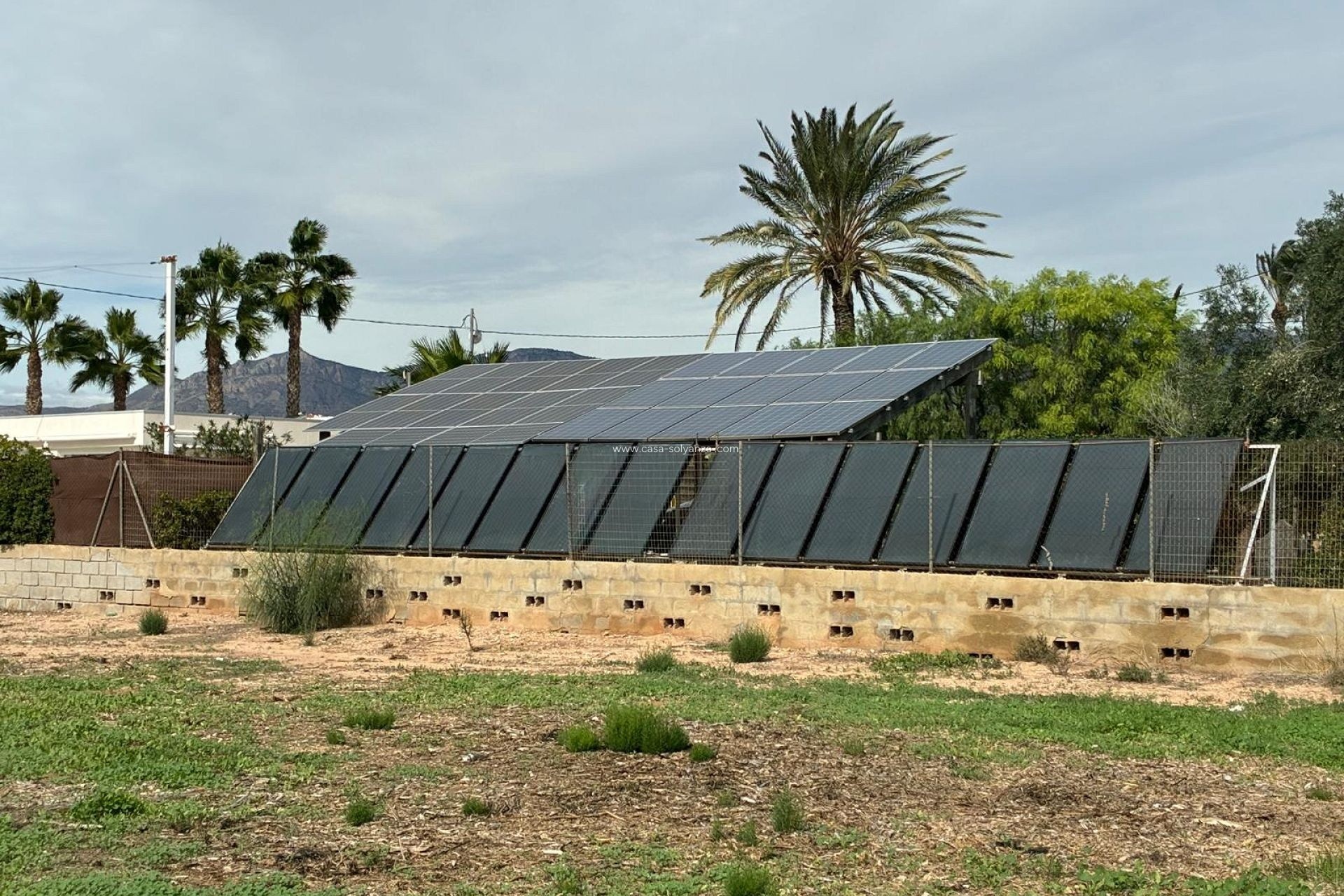 Resale - Villa - Crevillente - Crevillent