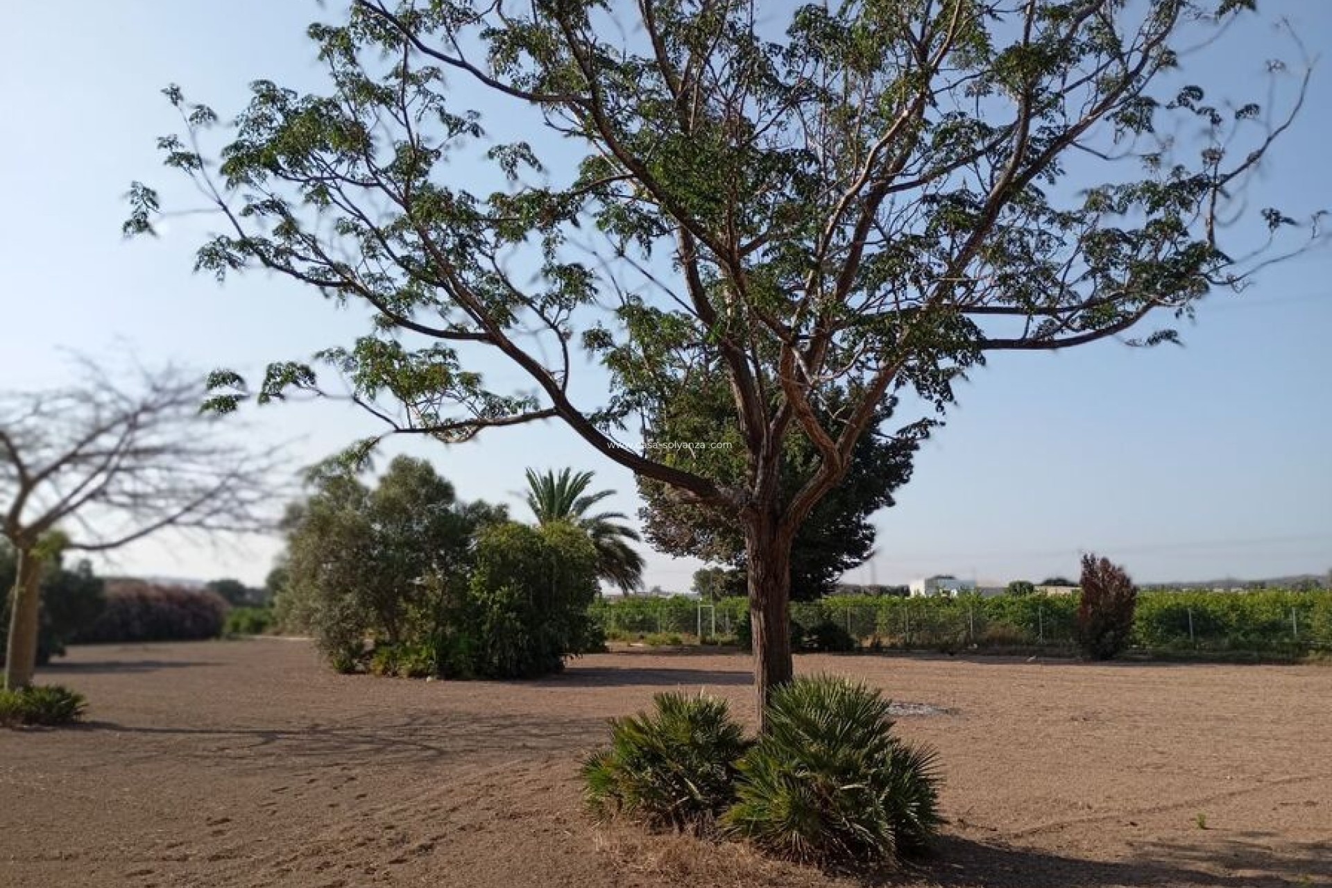 Resale - Villa - Daya Nueva - Costa Blanca