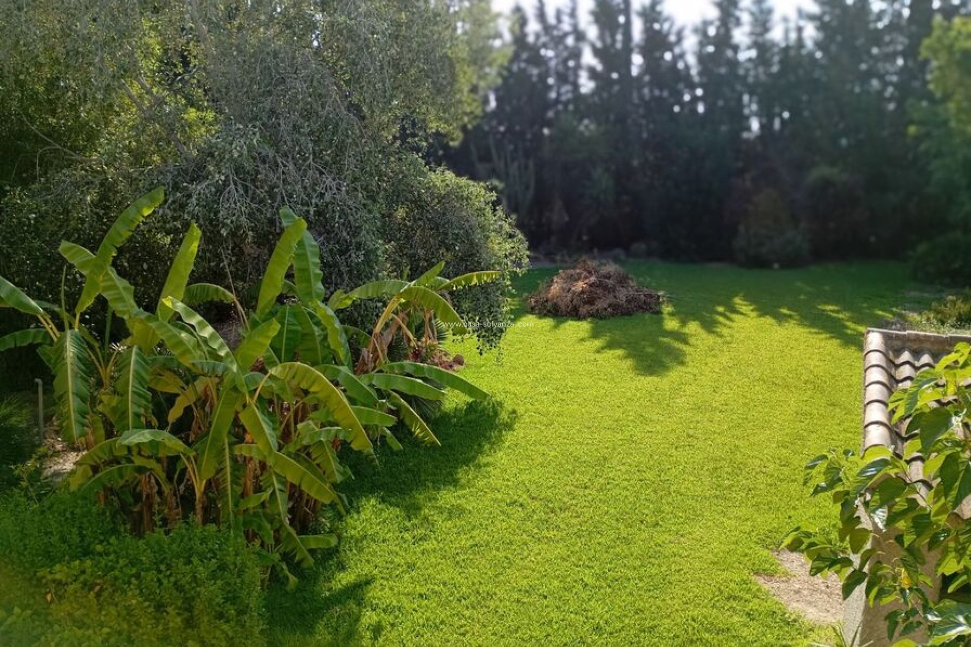 Resale - Villa - Daya Nueva - Costa Blanca