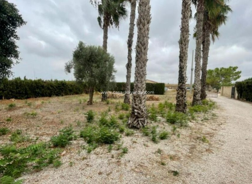 Resale - Villa - Daya Vieja - Costa Blanca