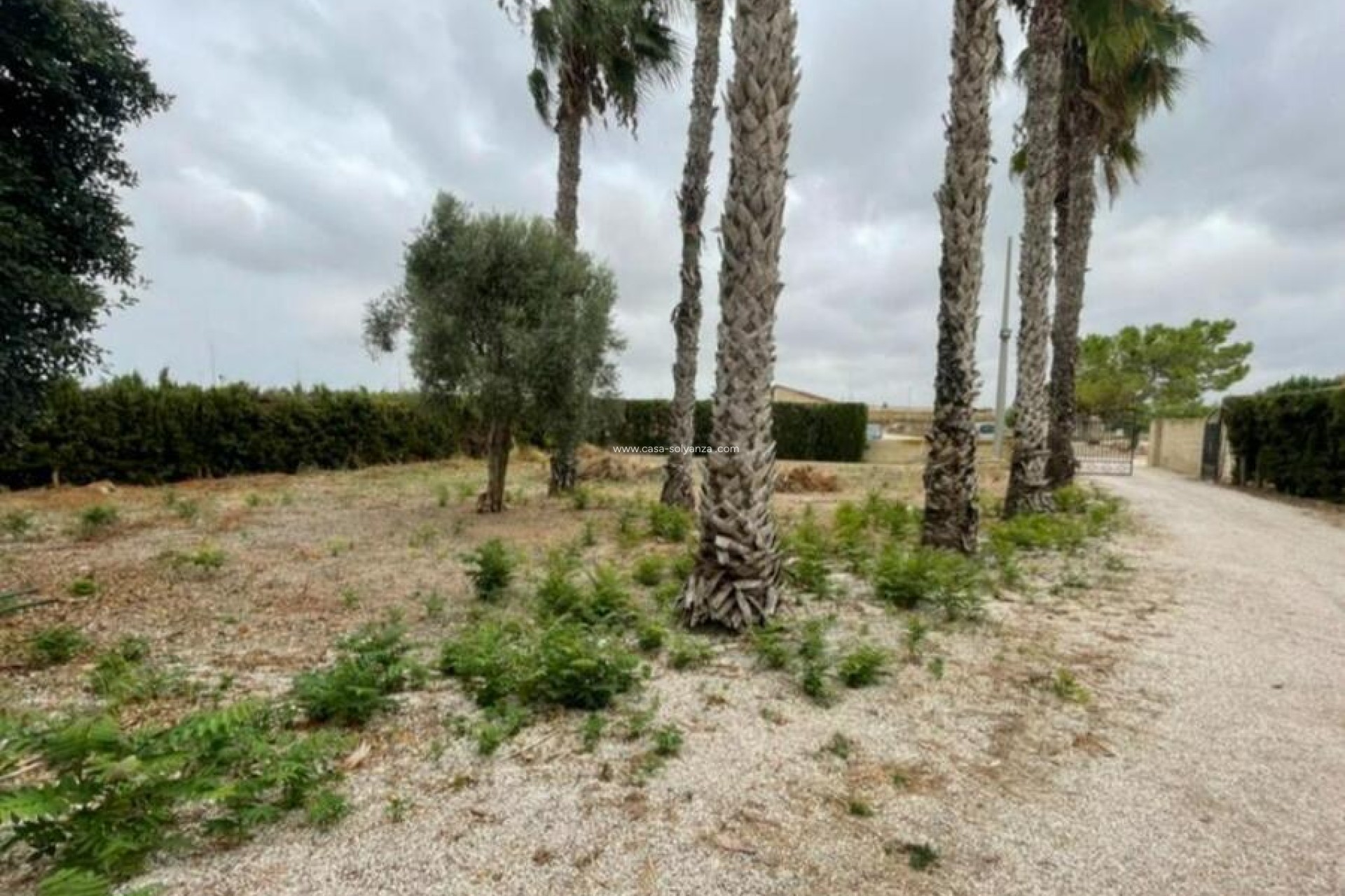 Resale - Villa - Daya Vieja - Costa Blanca