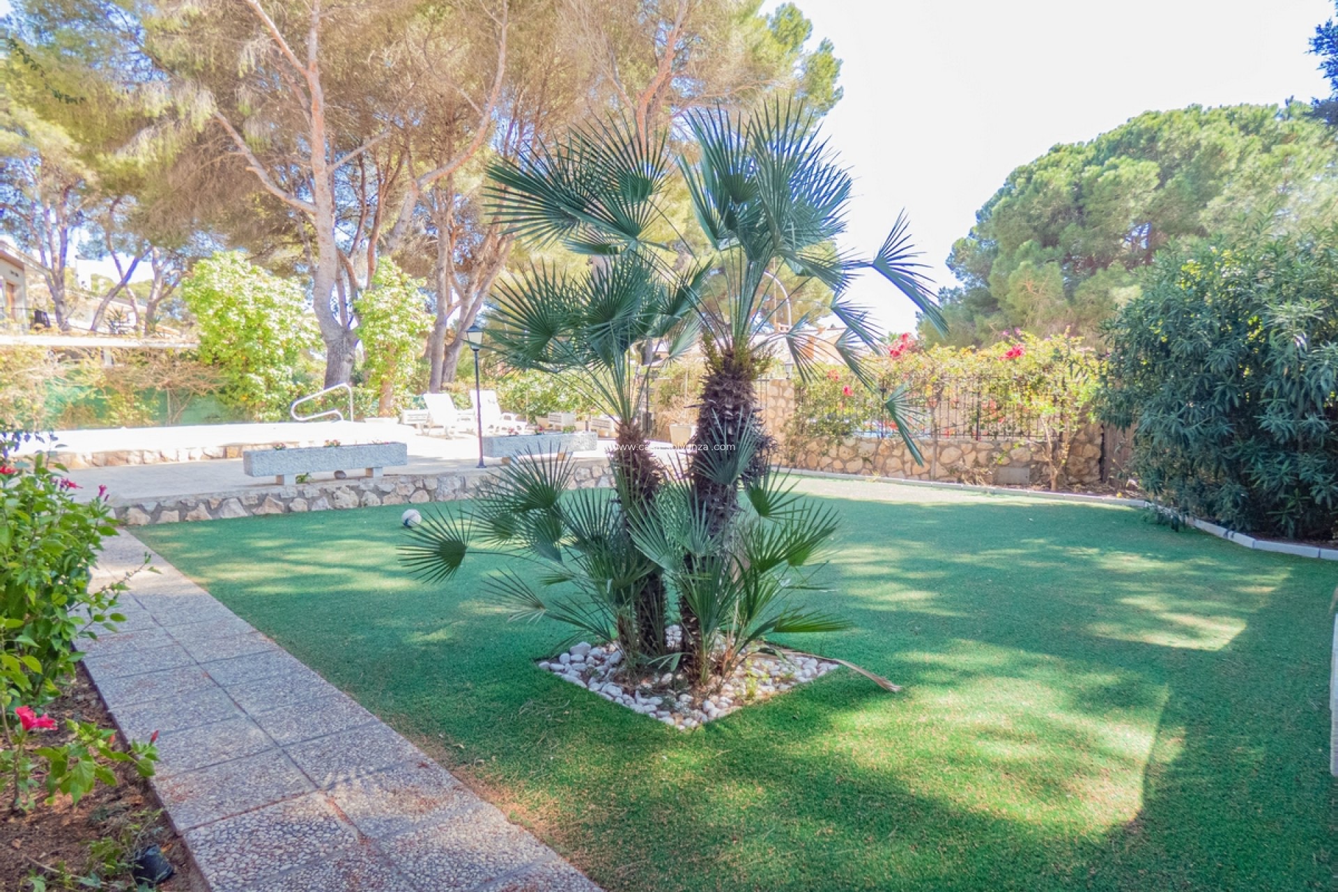 Resale - Villa - Dehesa De Campoamor - Costa Blanca