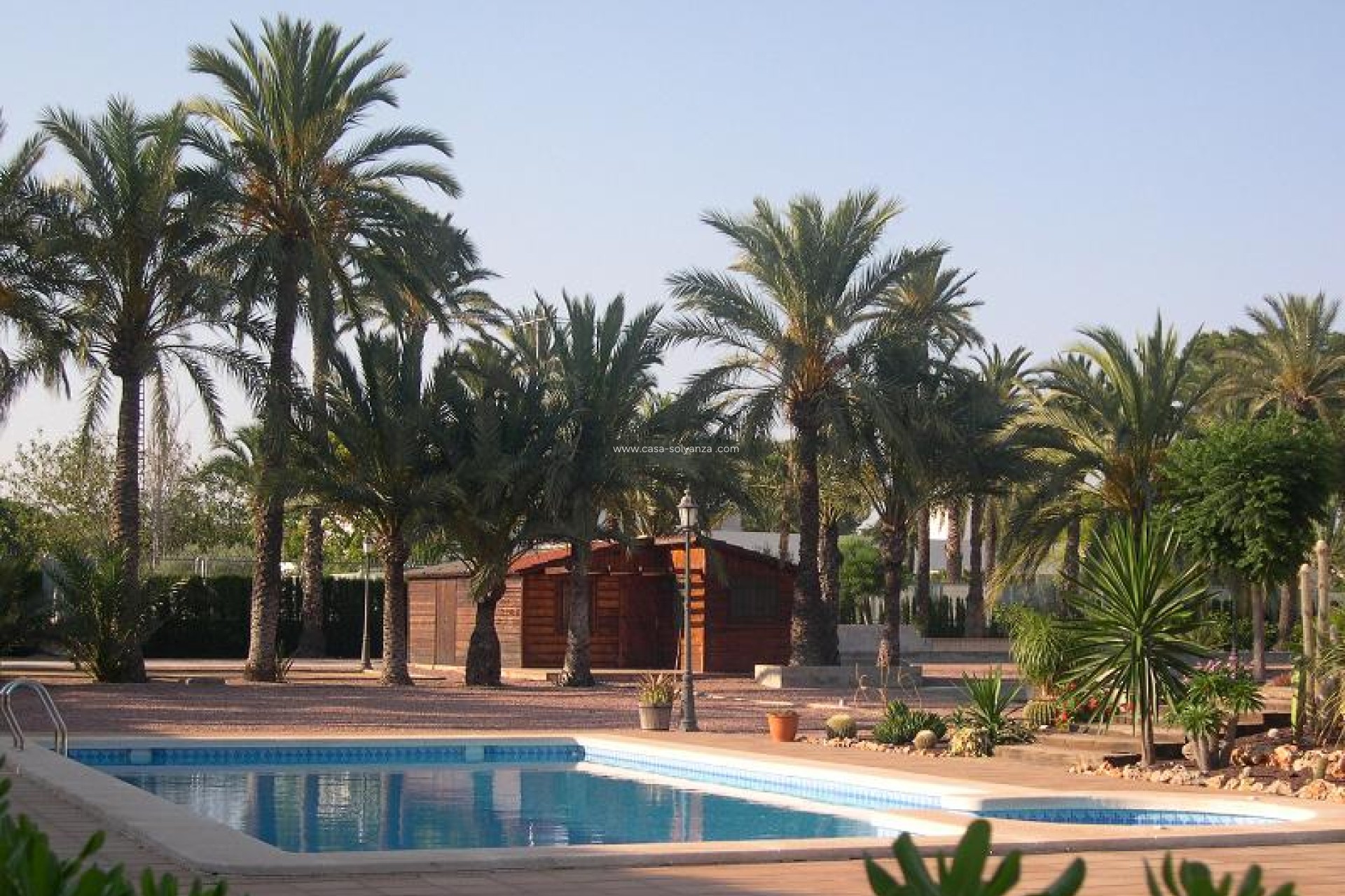 Resale - Villa - Elche - Costa Blanca