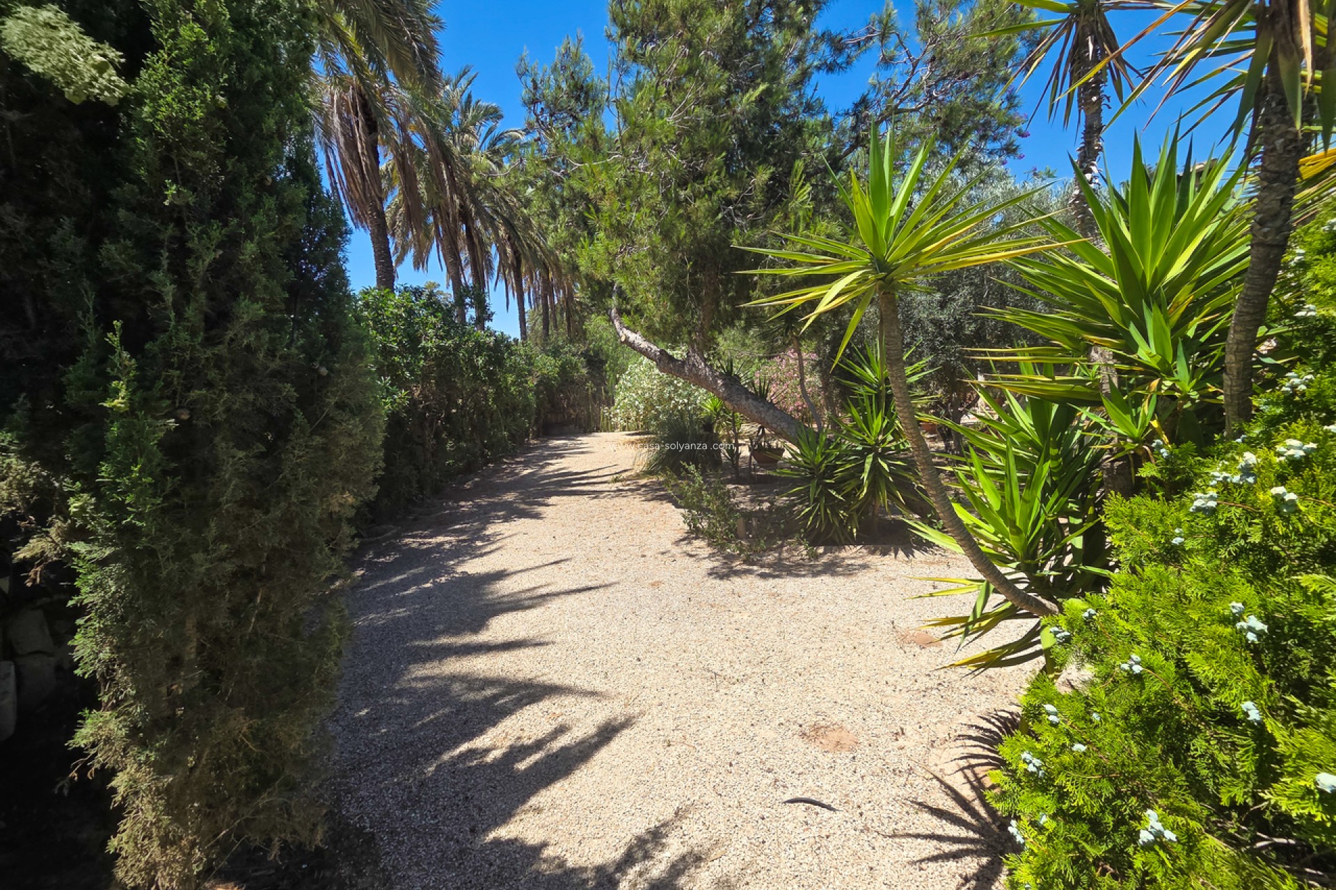Resale - Villa - Elche - Costa Blanca