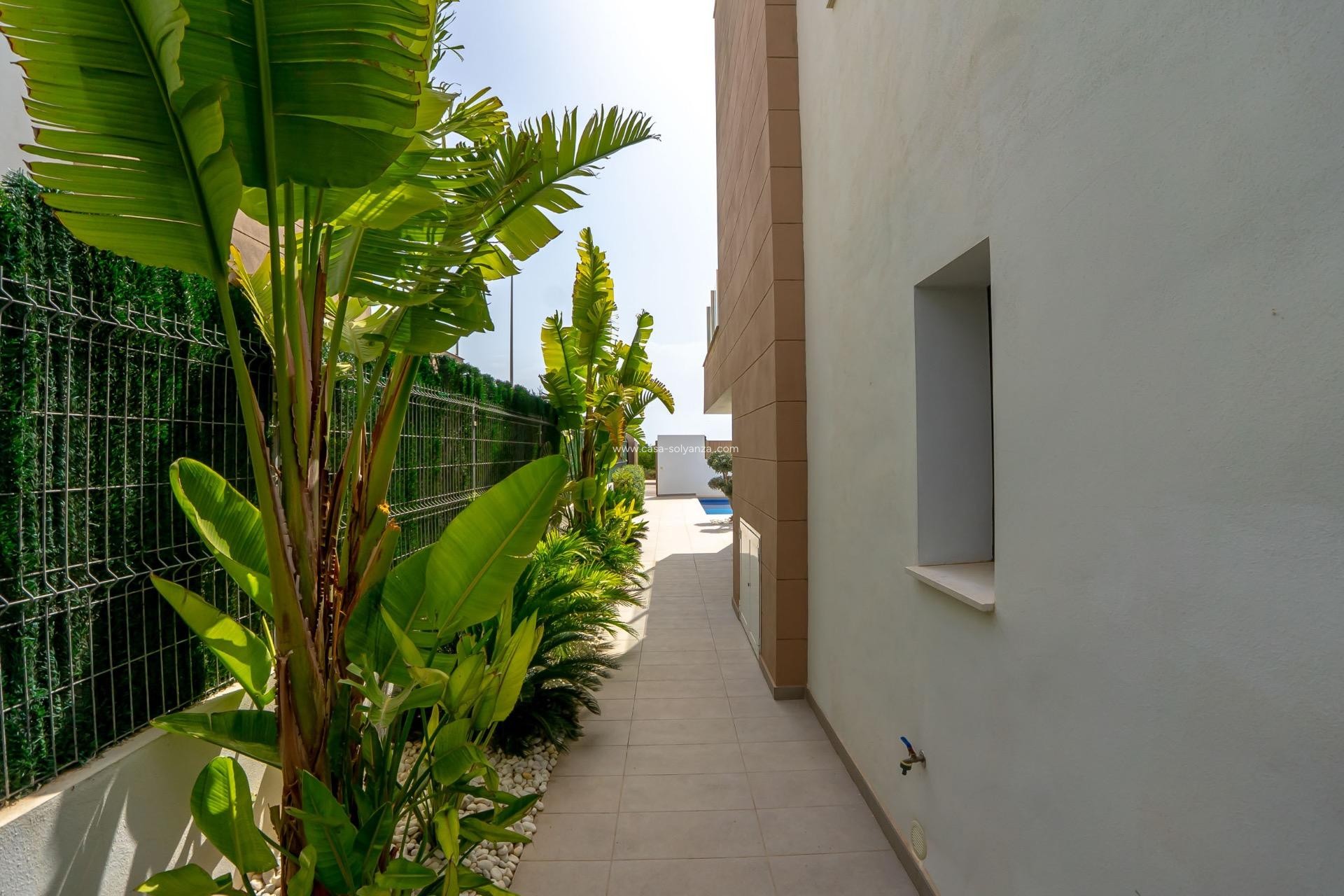 Resale - Villa - Guardamar Del Segura - EL RASO