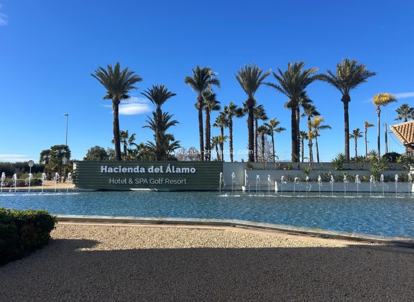 Resale - Villa - Hacienda del Alamo - Hacienda del Alamo Golf Resort