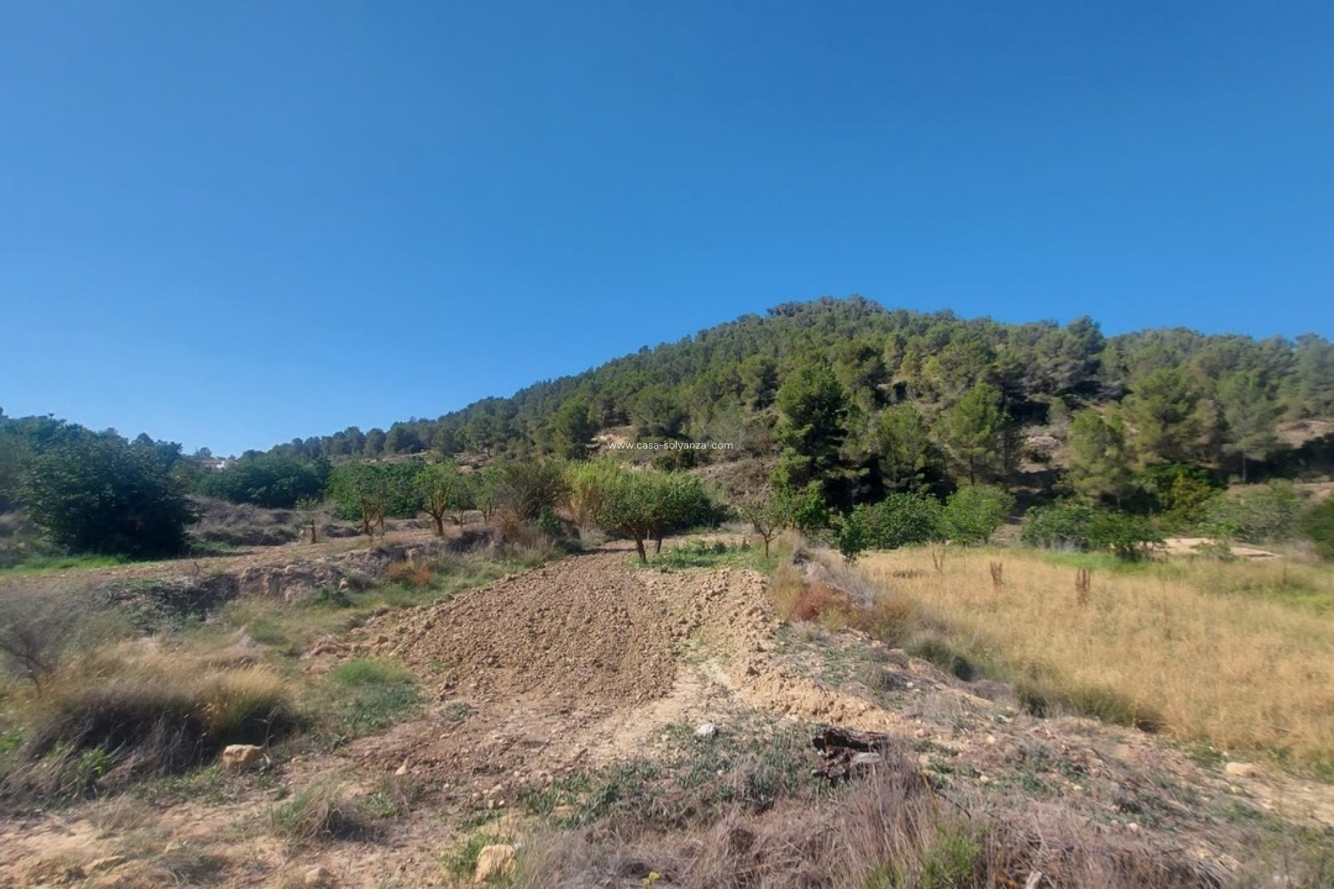 Resale - Villa - Jumilla - Inland