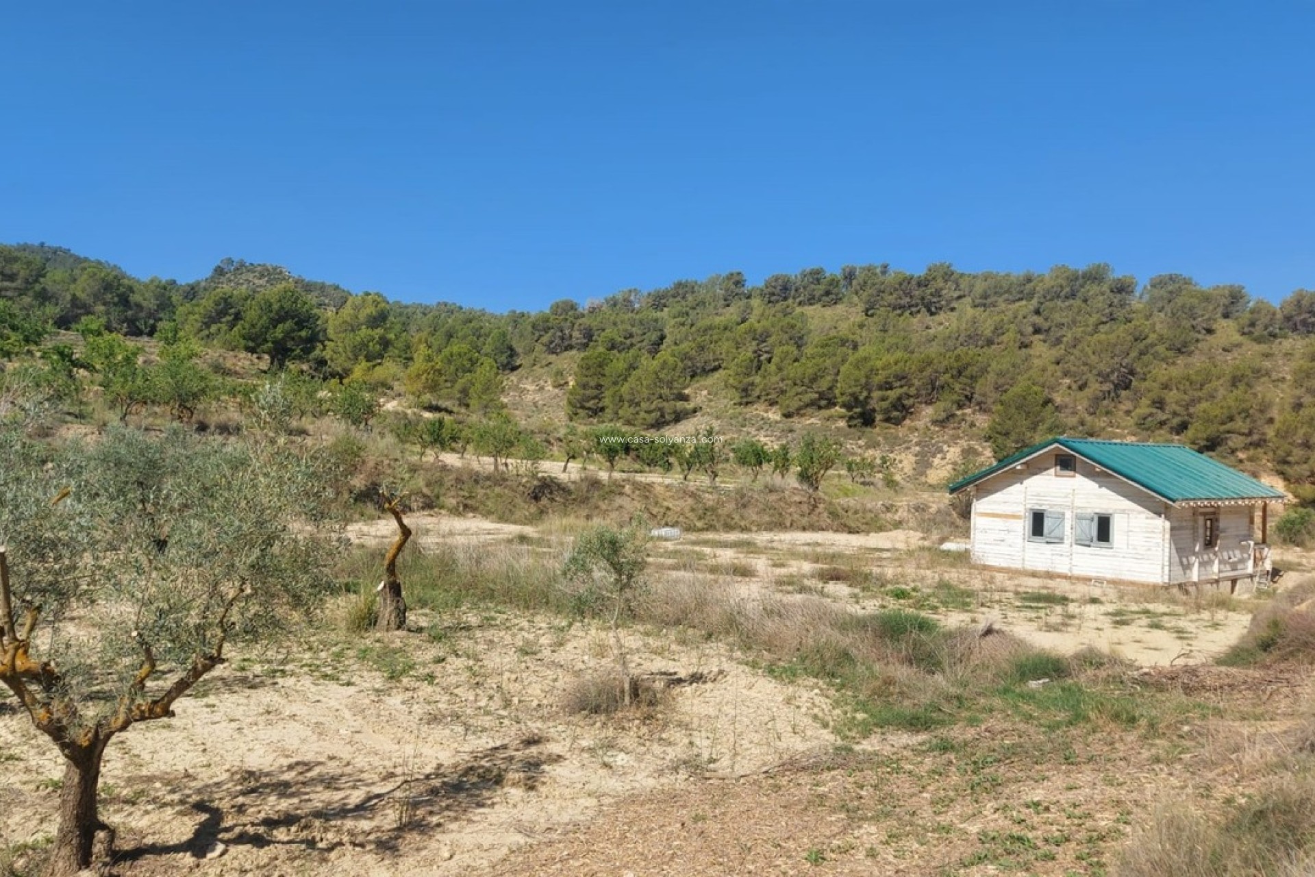 Resale - Villa - Jumilla - Inland