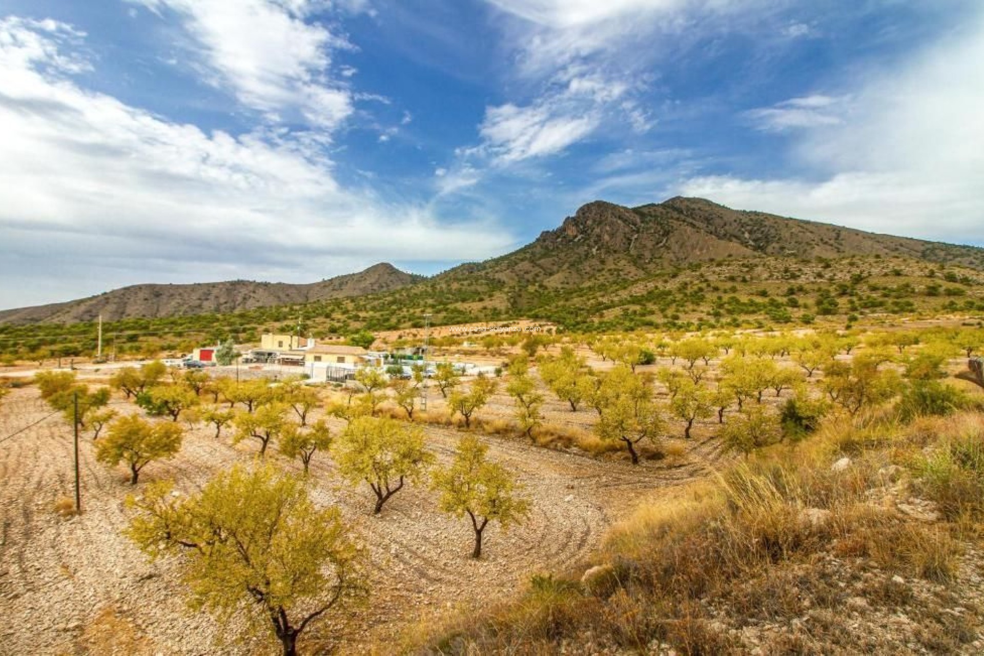 Resale - Villa - Jumilla - Inland