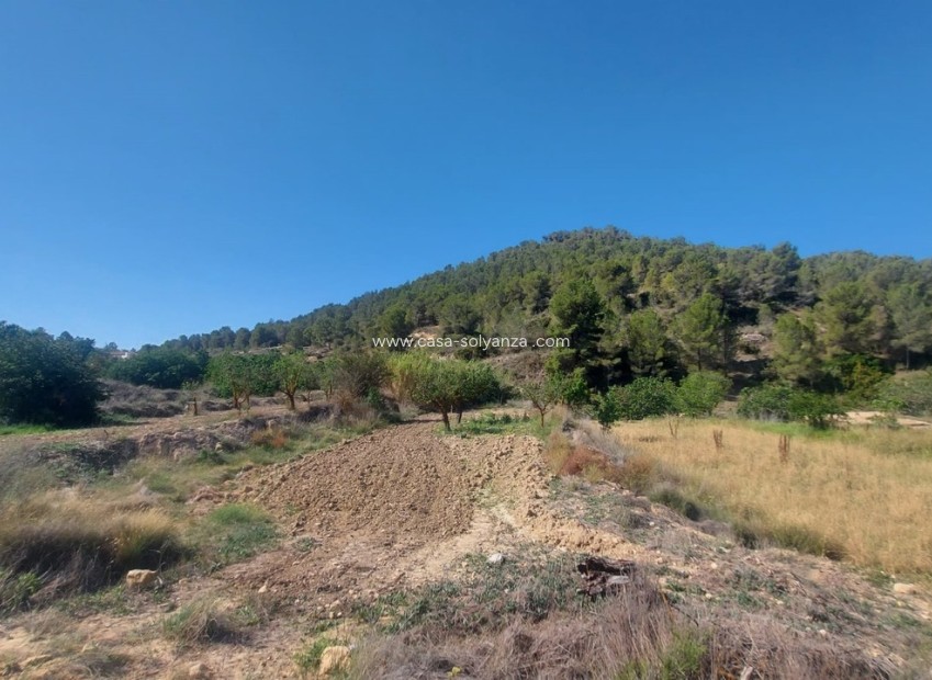 Resale - Villa - Jumilla - Inland
