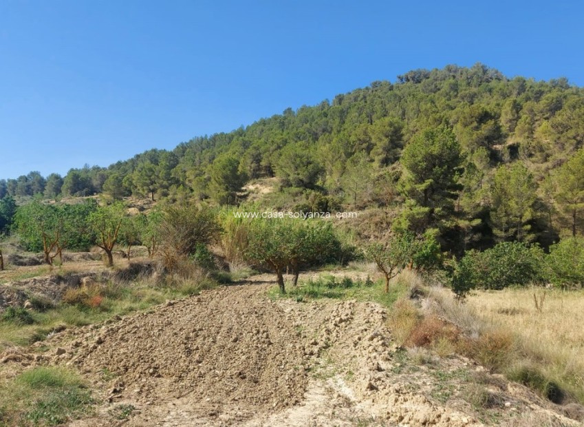 Resale - Villa - Jumilla - Inland