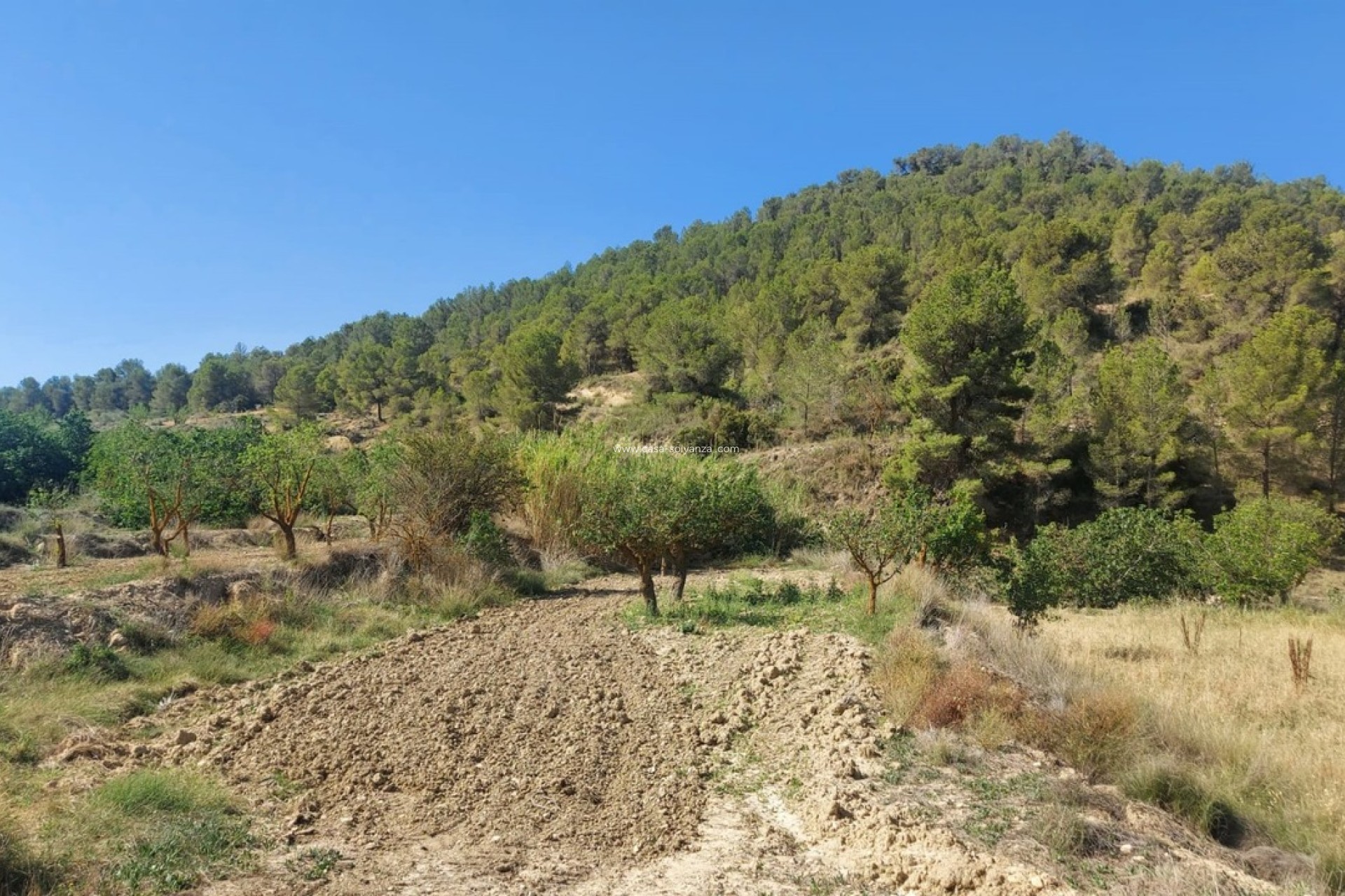 Resale - Villa - Jumilla - Inland