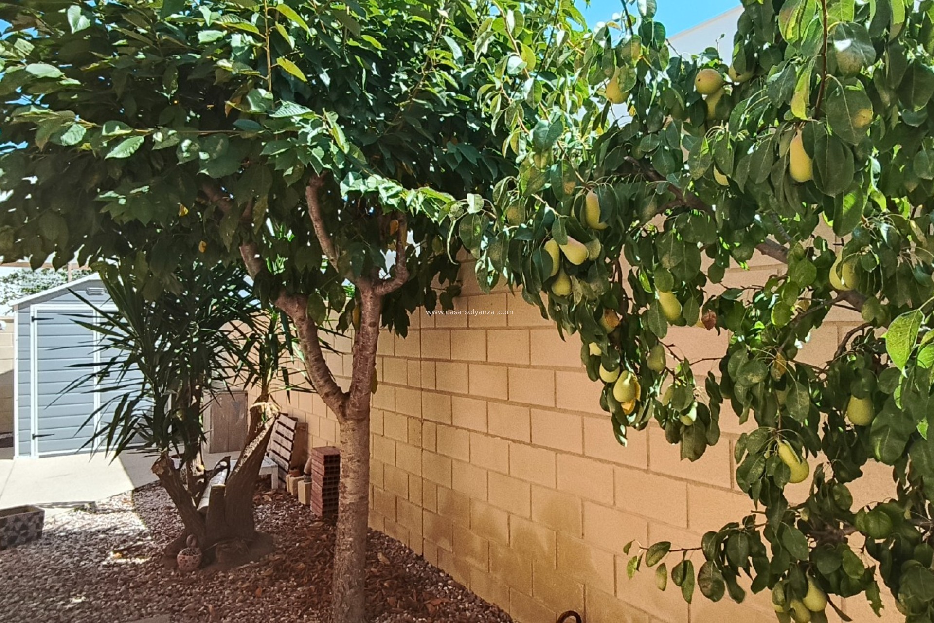 Resale - Villa - La Romana - Inland