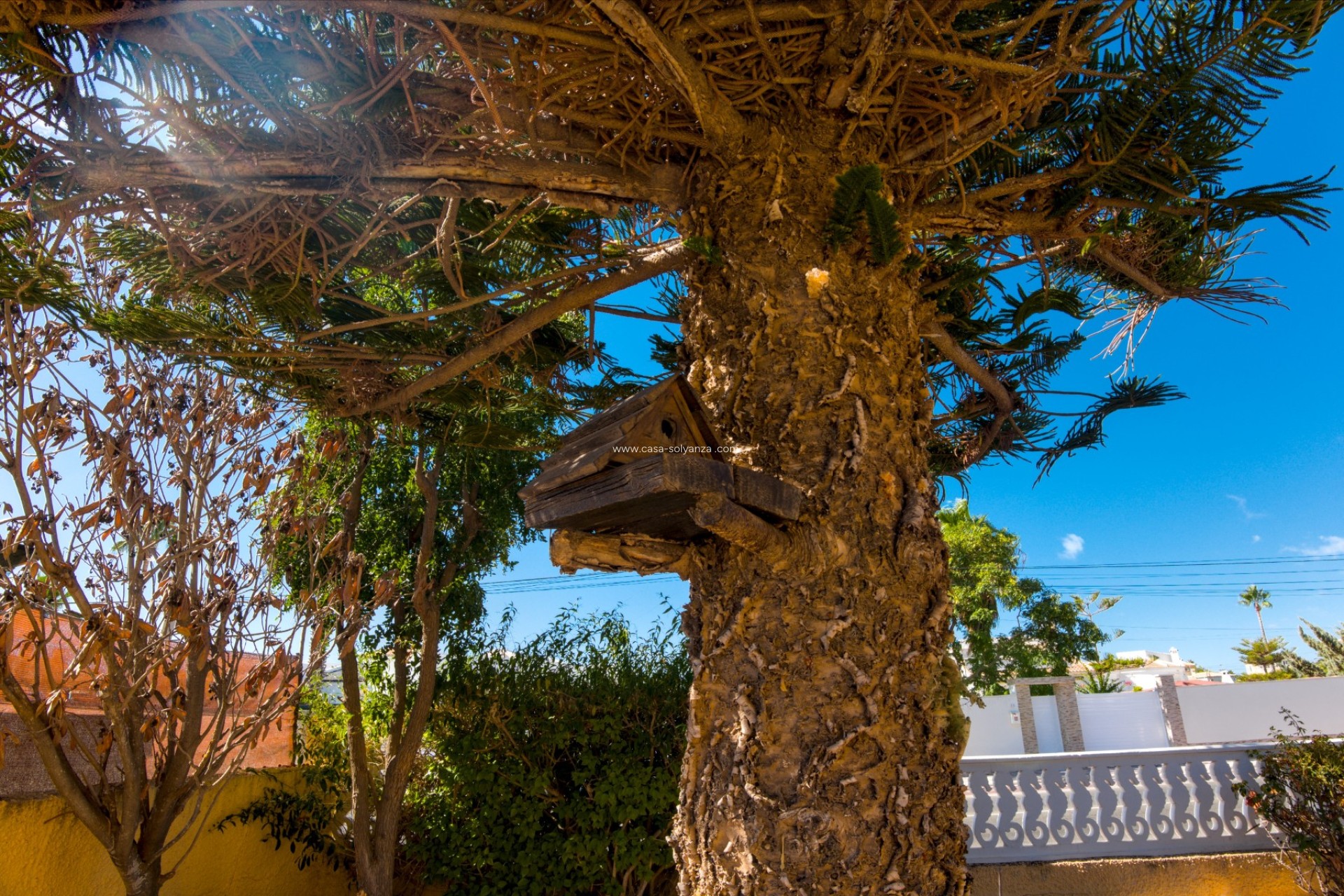 Resale - Villa - La Siesta - Costa Blanca