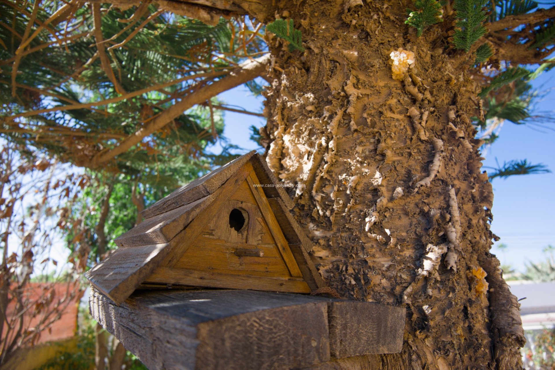 Resale - Villa - La Siesta - Costa Blanca