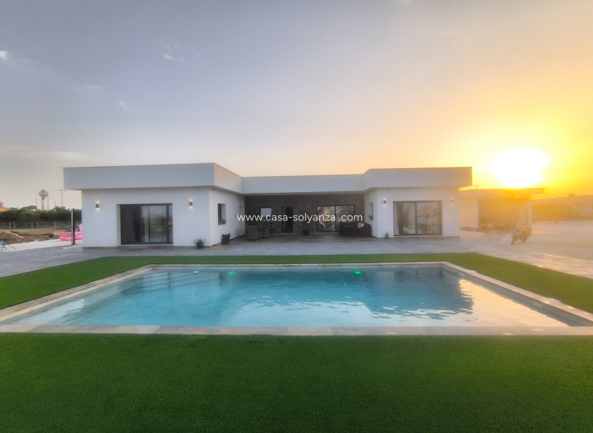 Resale - Villa - Los Montesinos - La Herrada