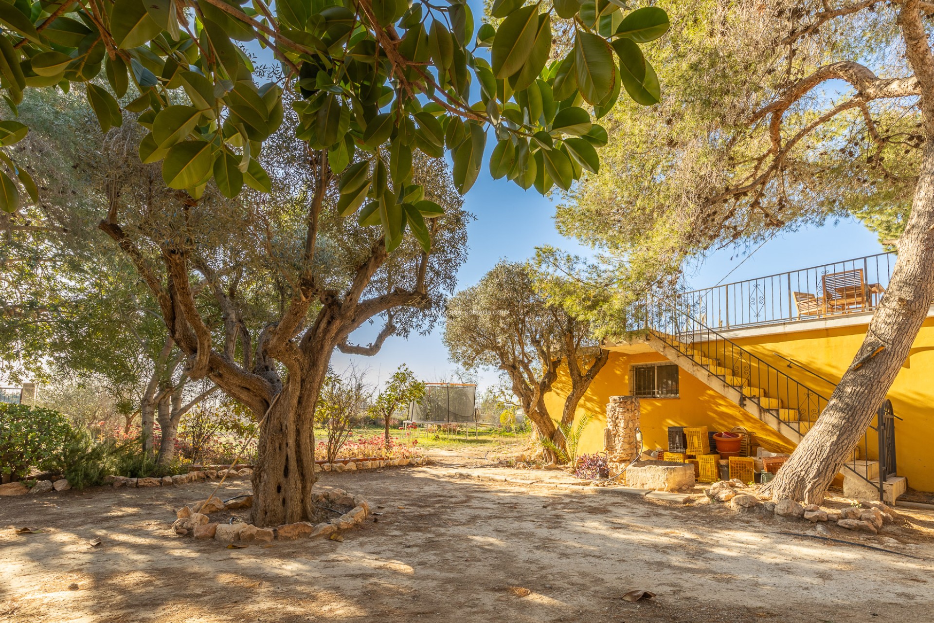 Resale - Villa - Los Montesinos