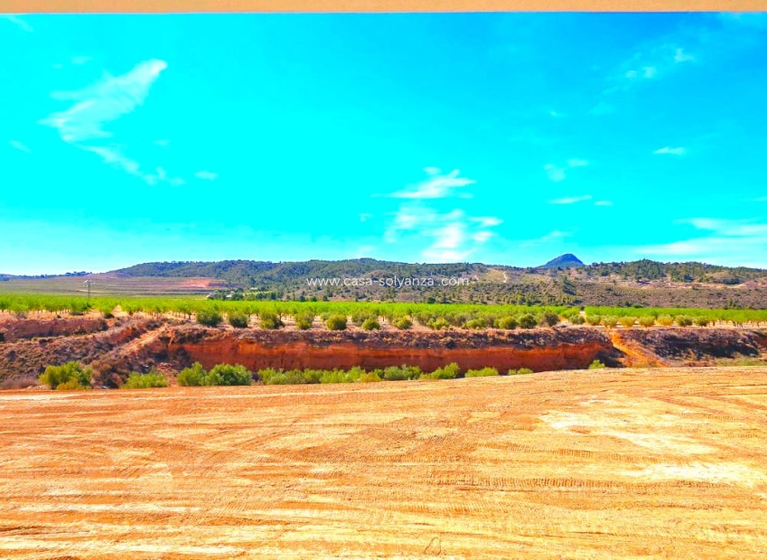 Resale - Villa - Macisvenda - Inland
