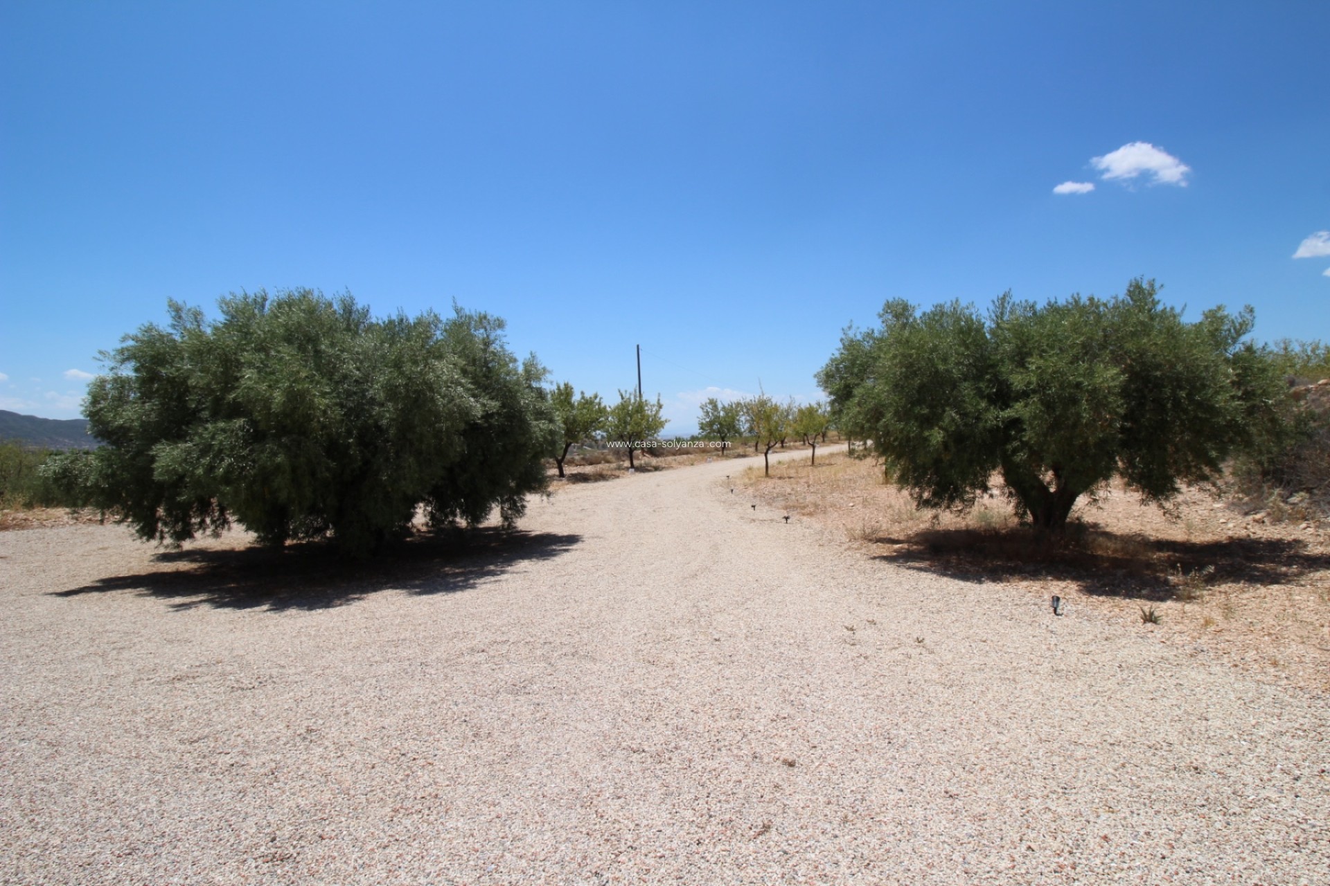 Resale - Villa - Macisvenda - Inland
