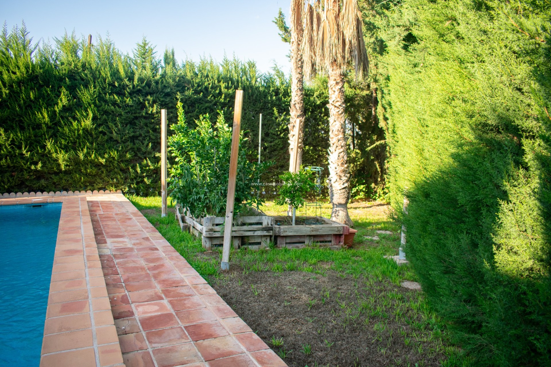 Resale - Villa - Molina de Segura - Torre de Cotillas