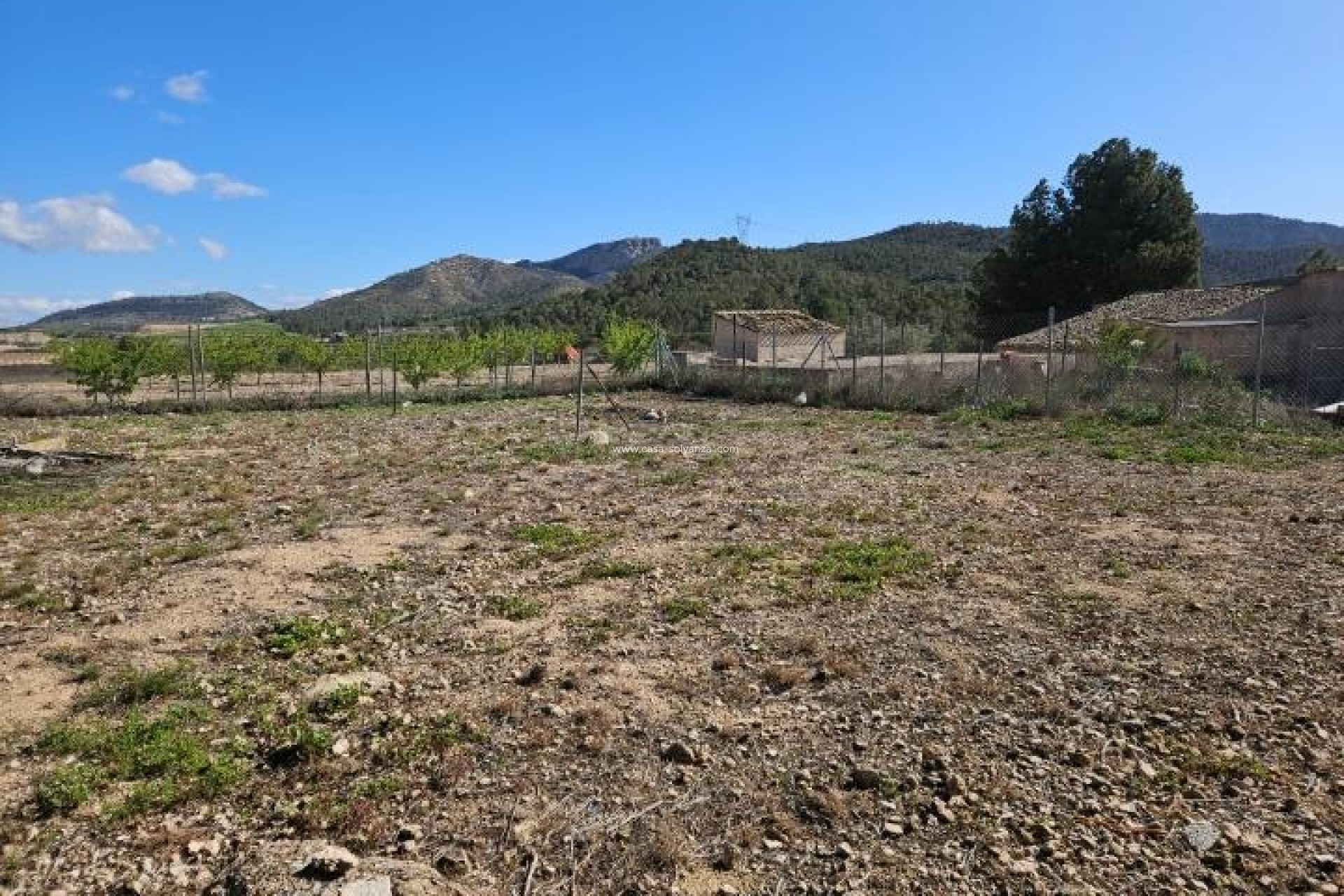 Resale - Villa - Monóvar - Comunidad Valenciana