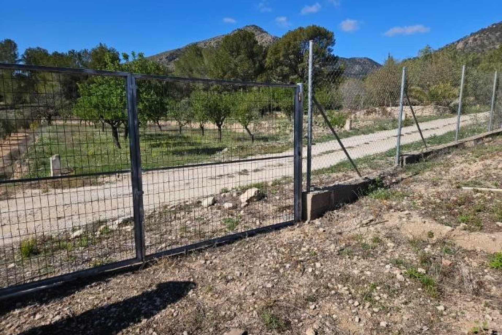 Resale - Villa - Monóvar - Comunidad Valenciana