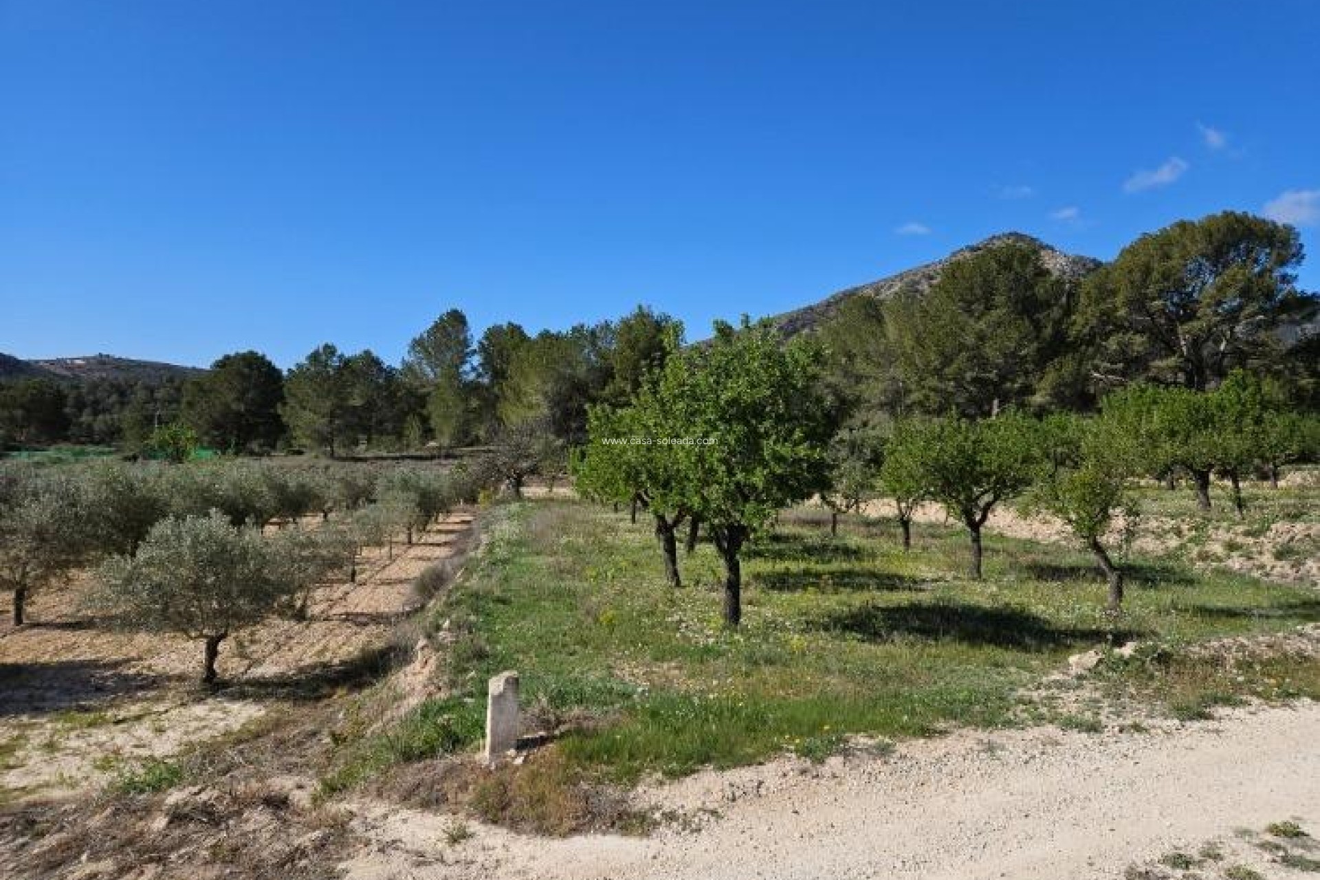 Resale - Villa - Monóvar - Comunidad Valenciana
