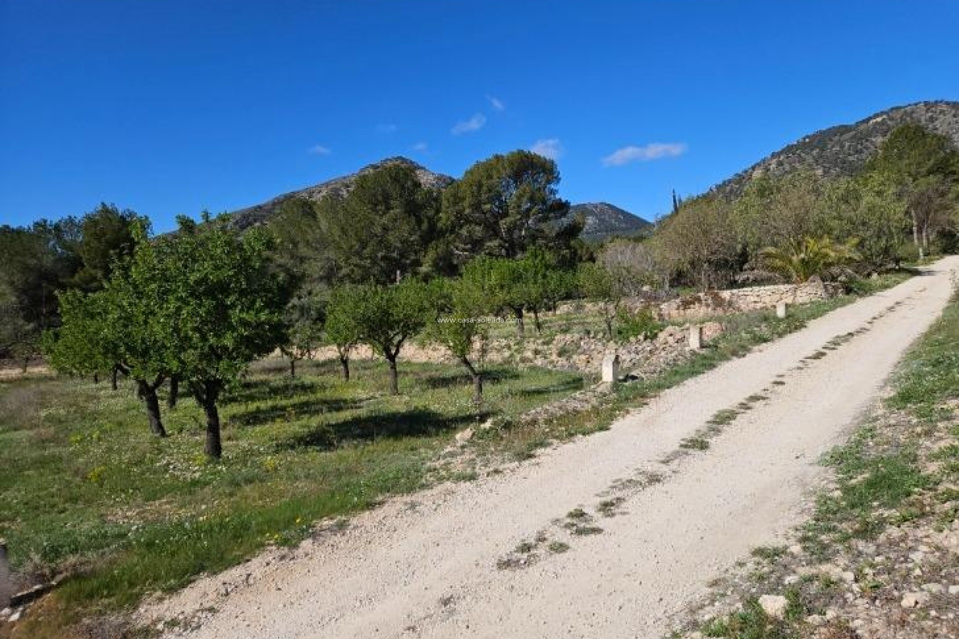 Resale - Villa - Monóvar - Comunidad Valenciana