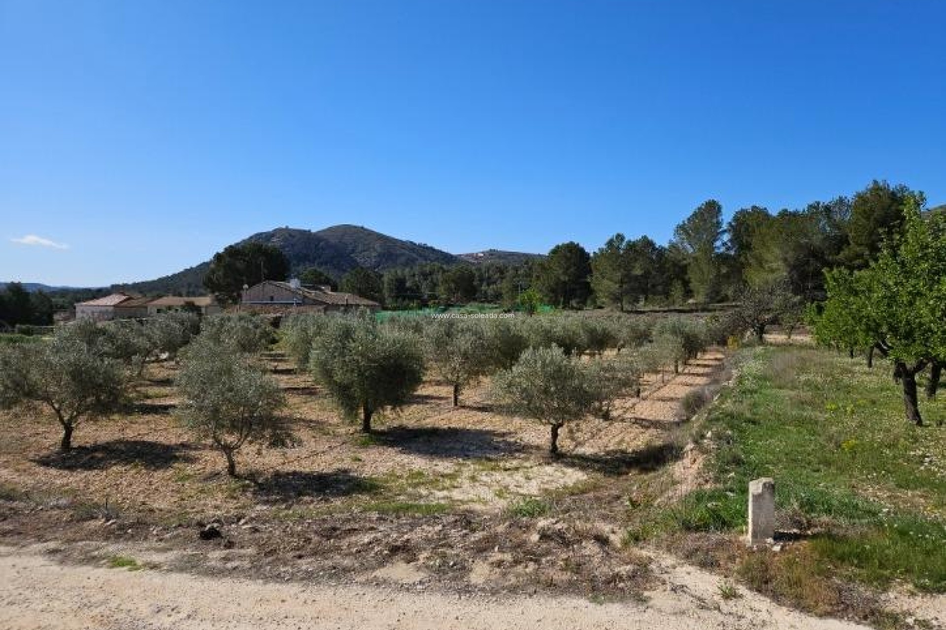 Resale - Villa - Monóvar - Comunidad Valenciana