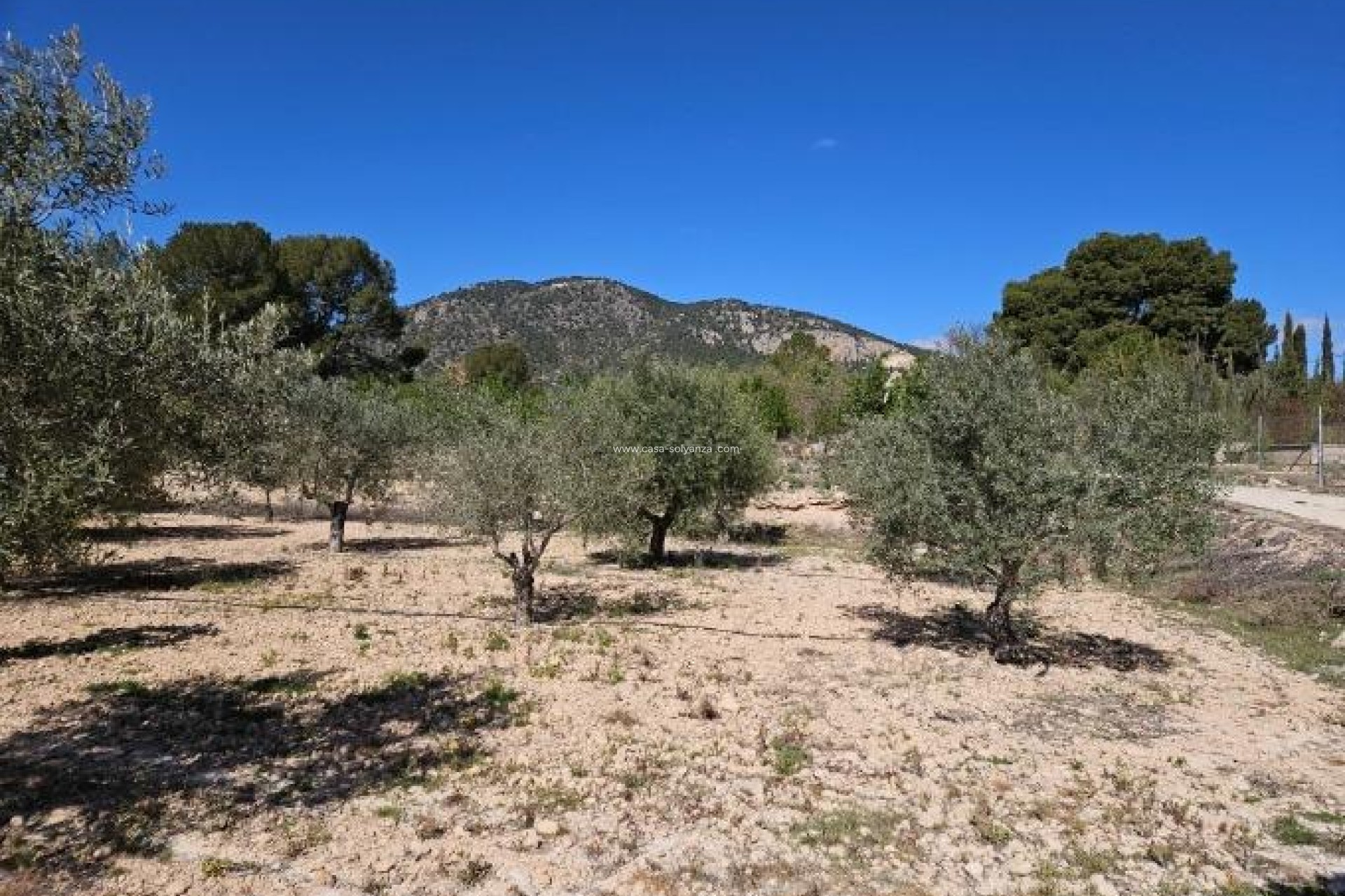 Resale - Villa - Monóvar - Comunidad Valenciana