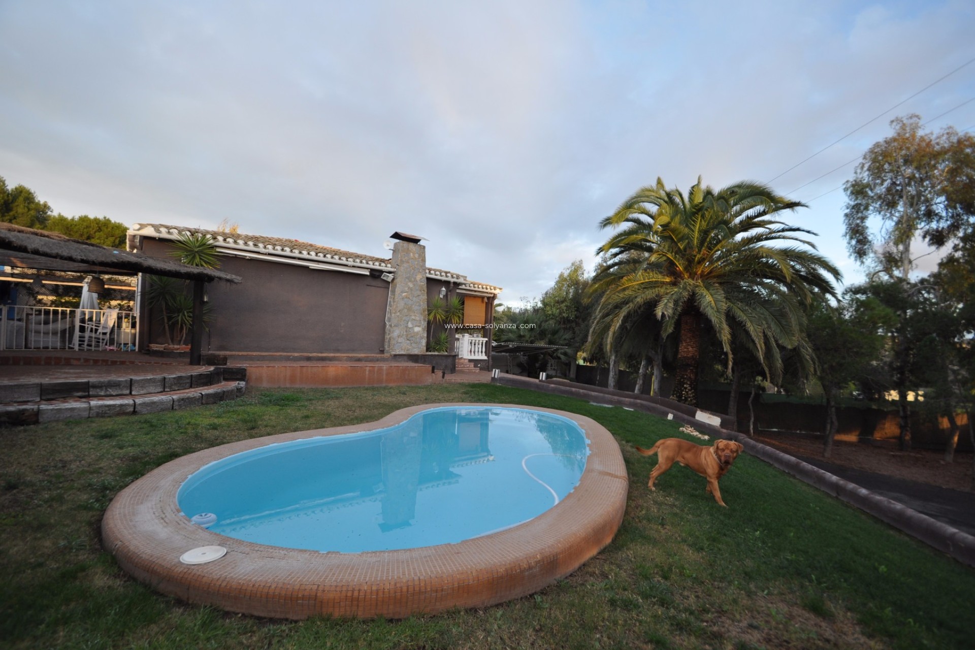 Resale - Villa - Monóvar - Inland