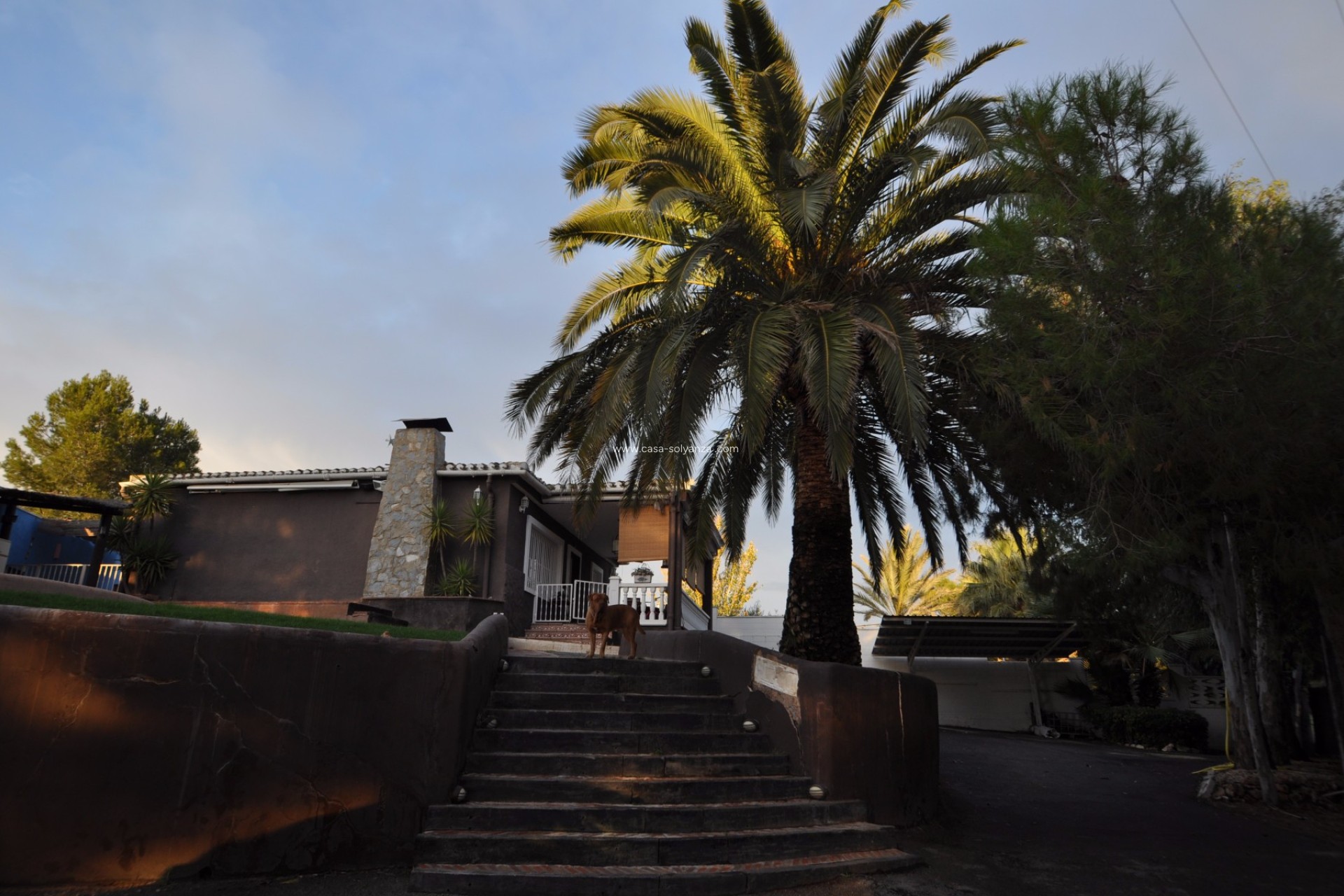 Resale - Villa - Monóvar - Inland