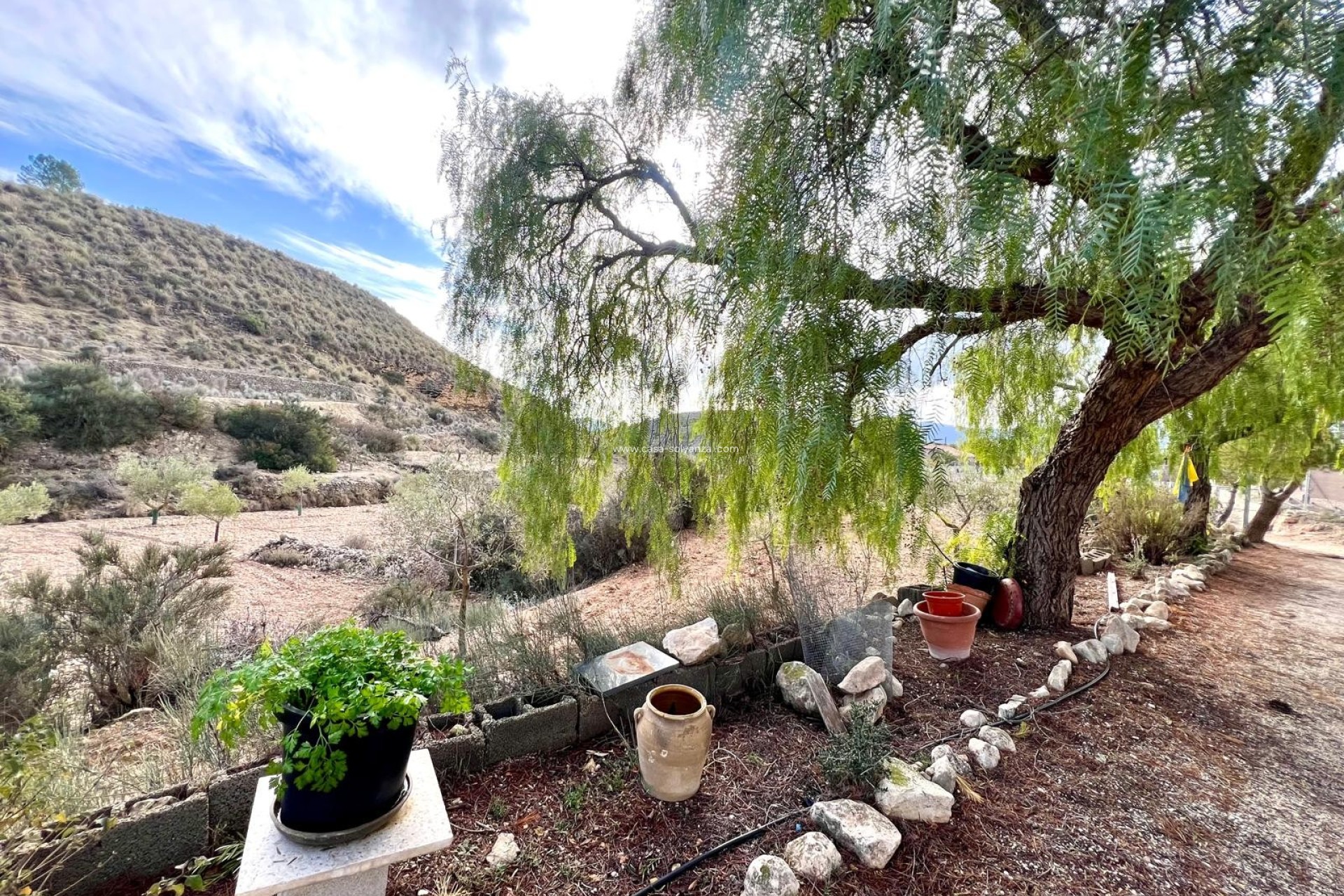 Resale - Villa - Monóvar - Inland