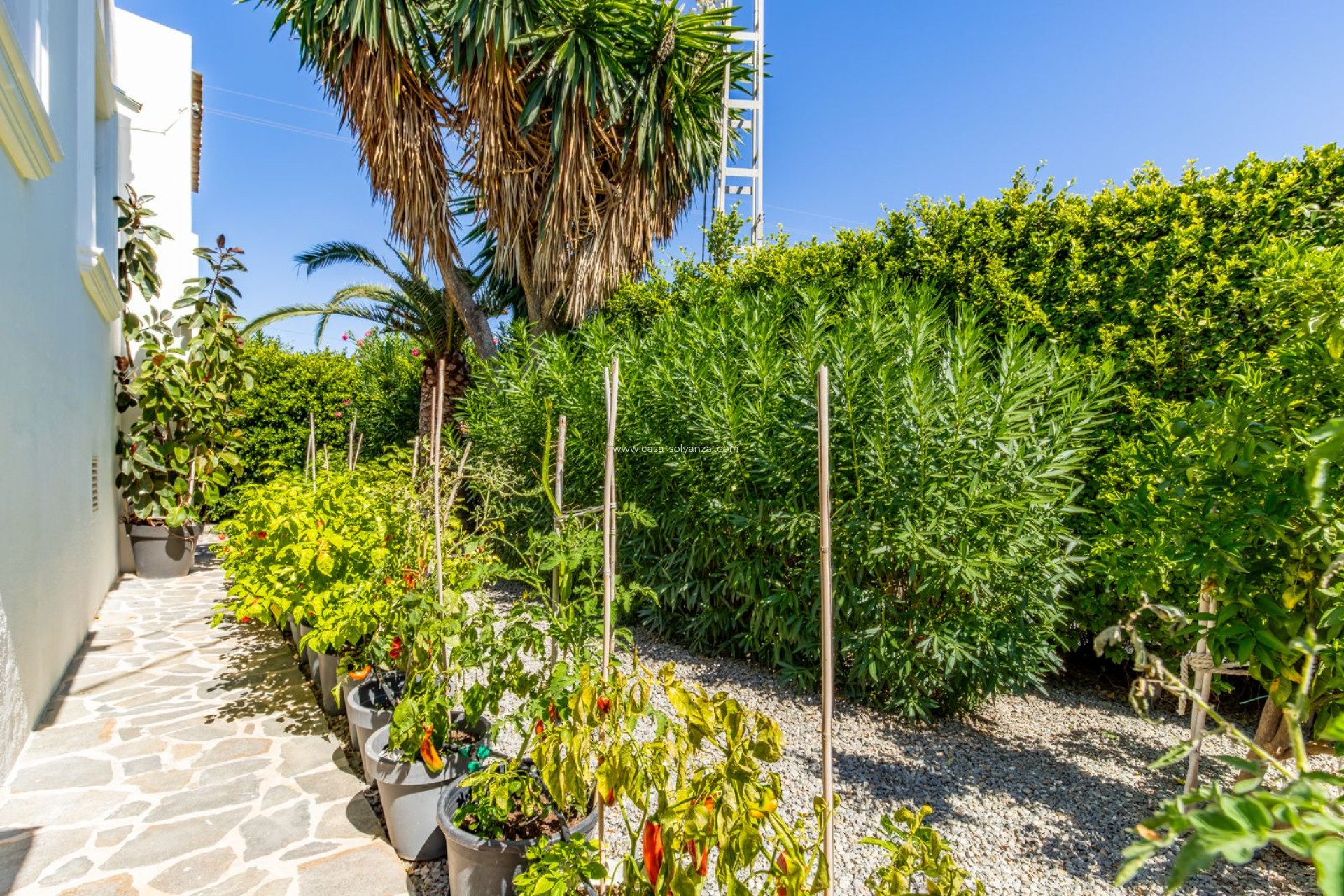 Resale - Villa - Moraira - Baladrar