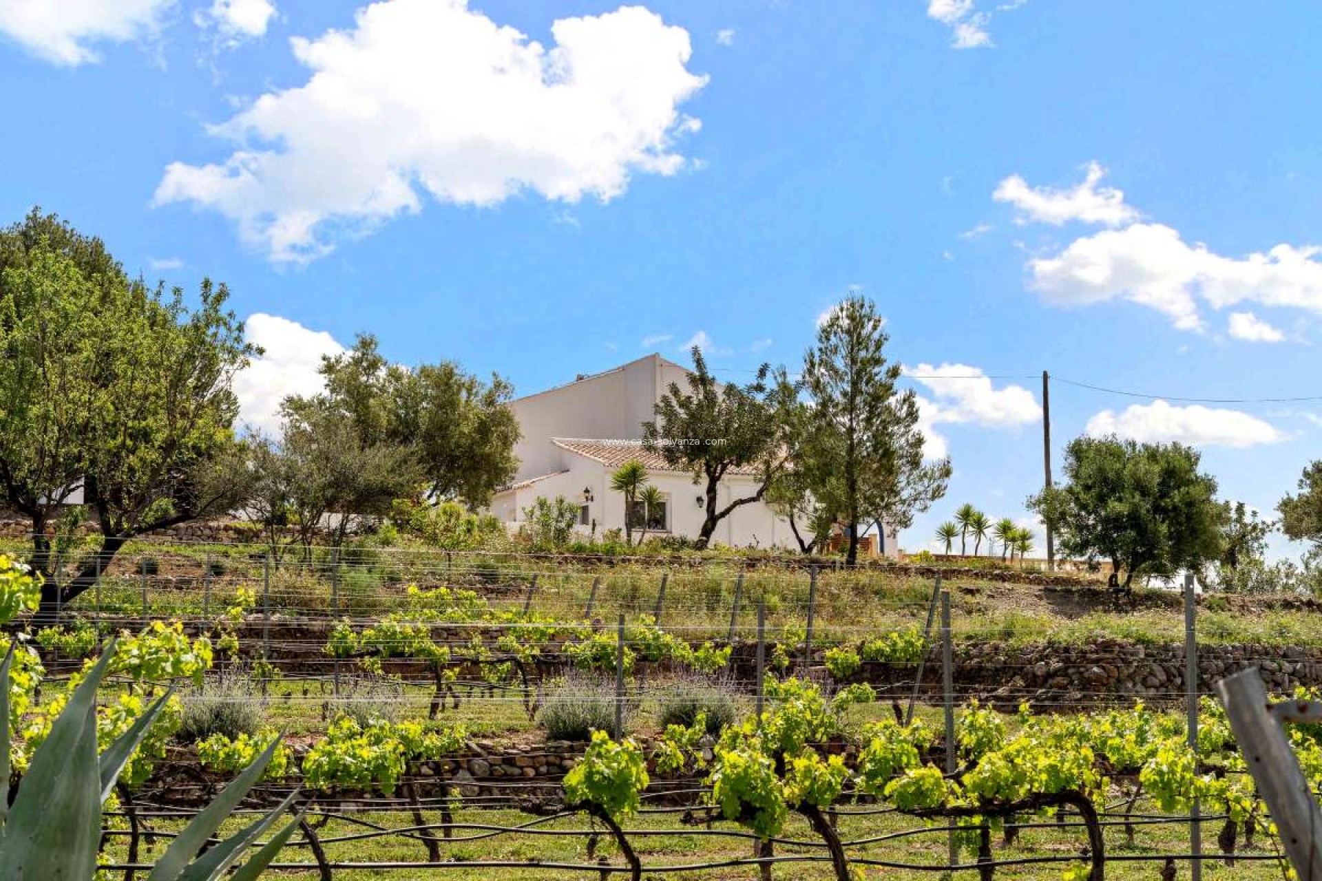 Resale - Villa - Murla - Inland